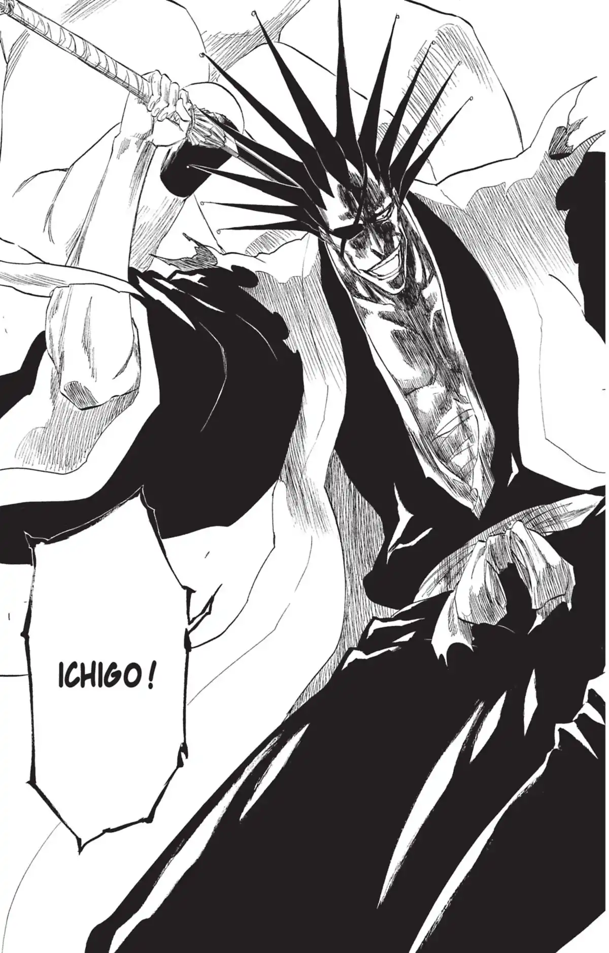 Bleach Volume 34 page 45