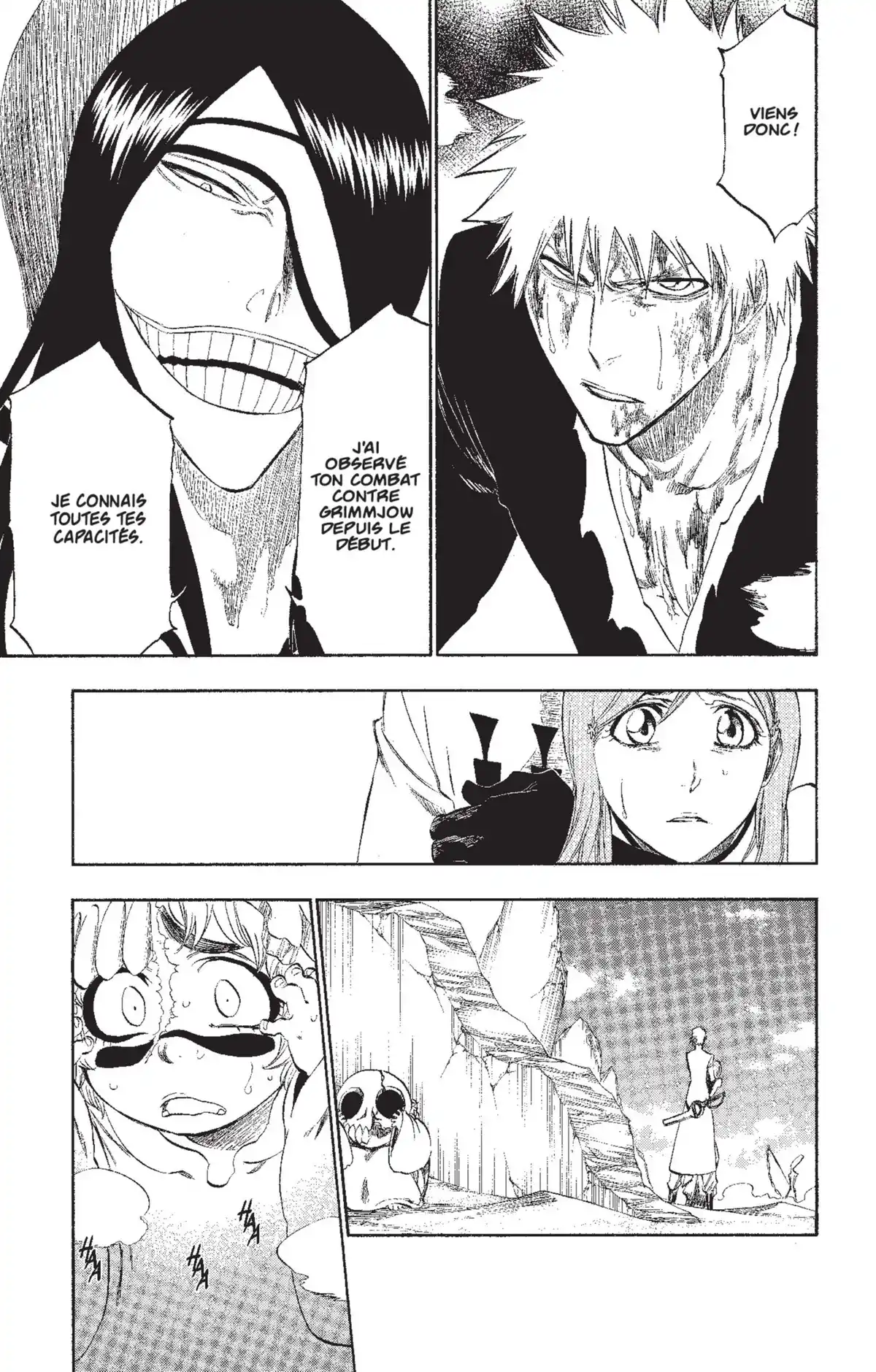 Bleach Volume 33 page 43