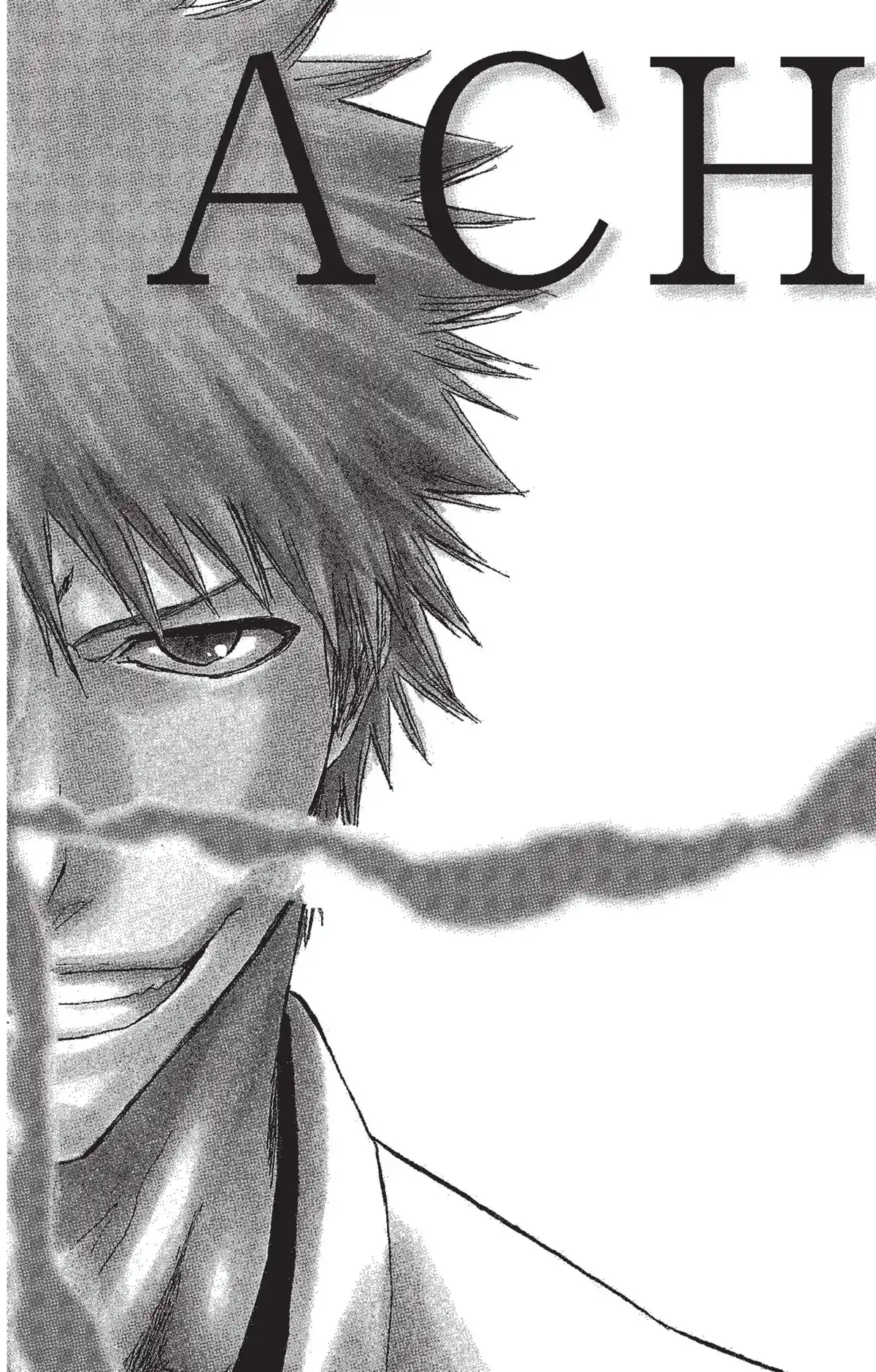 Bleach Volume 33 page 46