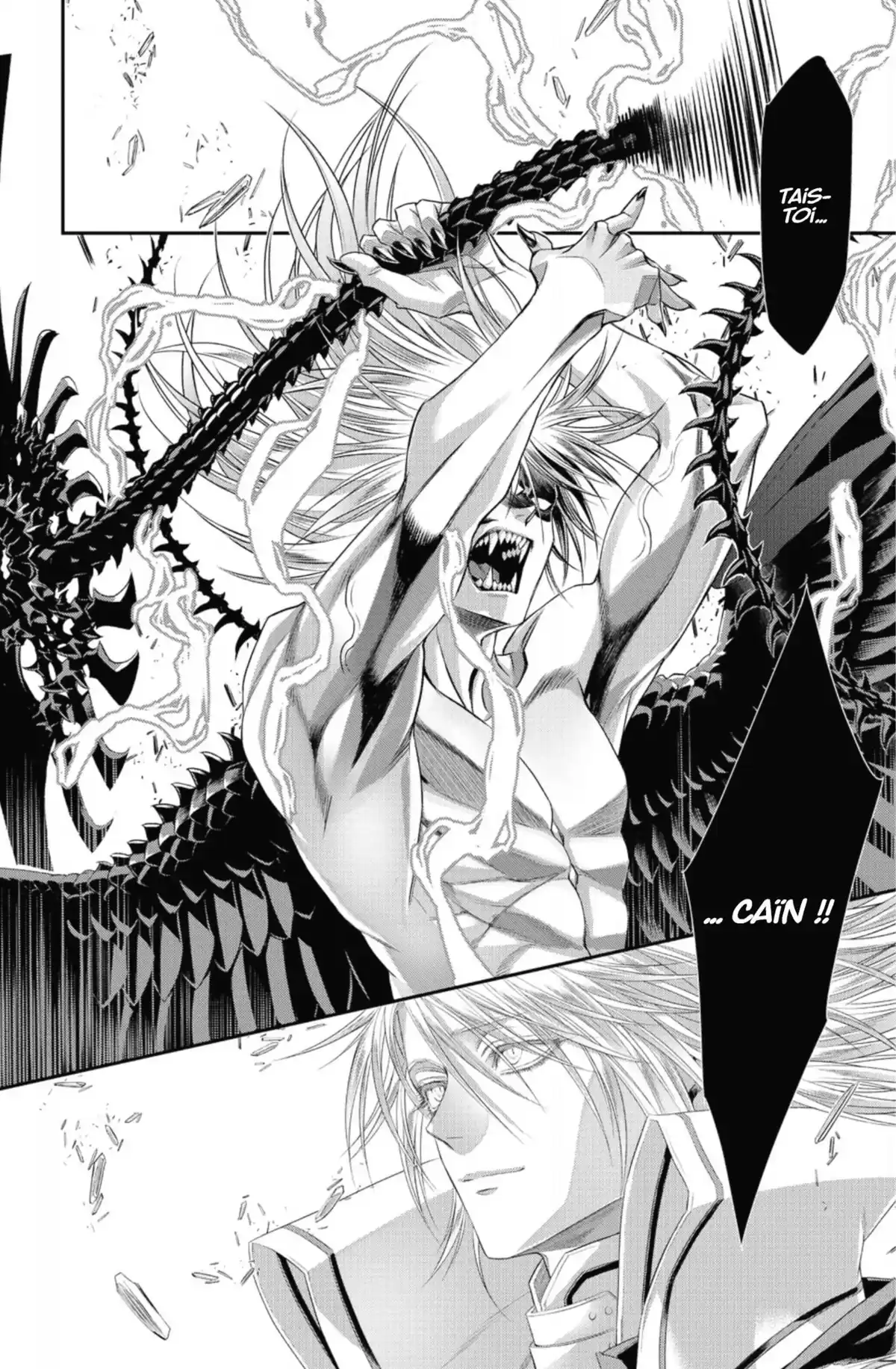 Trinity Blood Volume 21 page 116