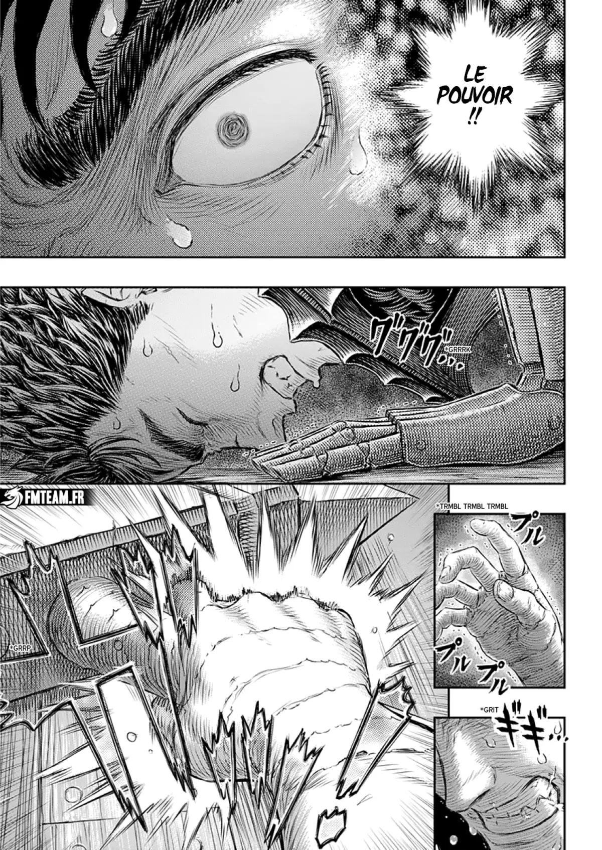 Berserk Chapitre 373 page 12