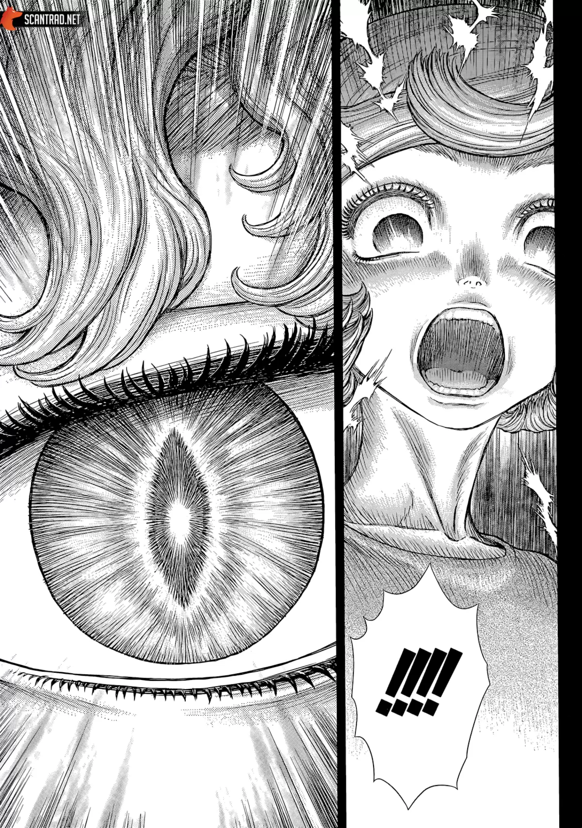 Berserk Chapitre 365 page 11