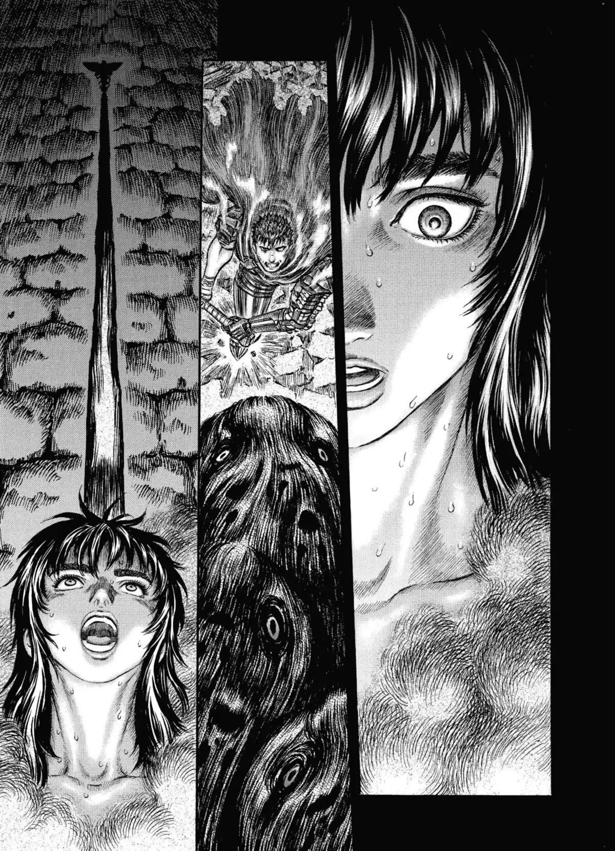 Berserk Volume 21 page 17