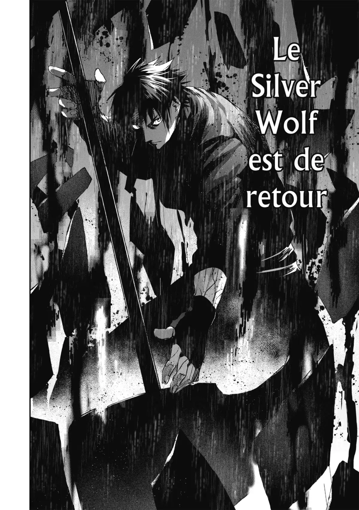 Silver Wolf, Blood, Bone Volume 15 page 88