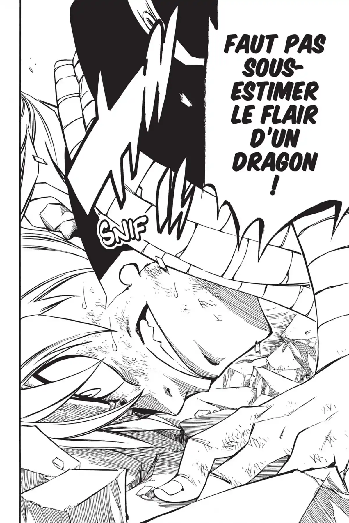 Fairy Tail Volume 43 page 88