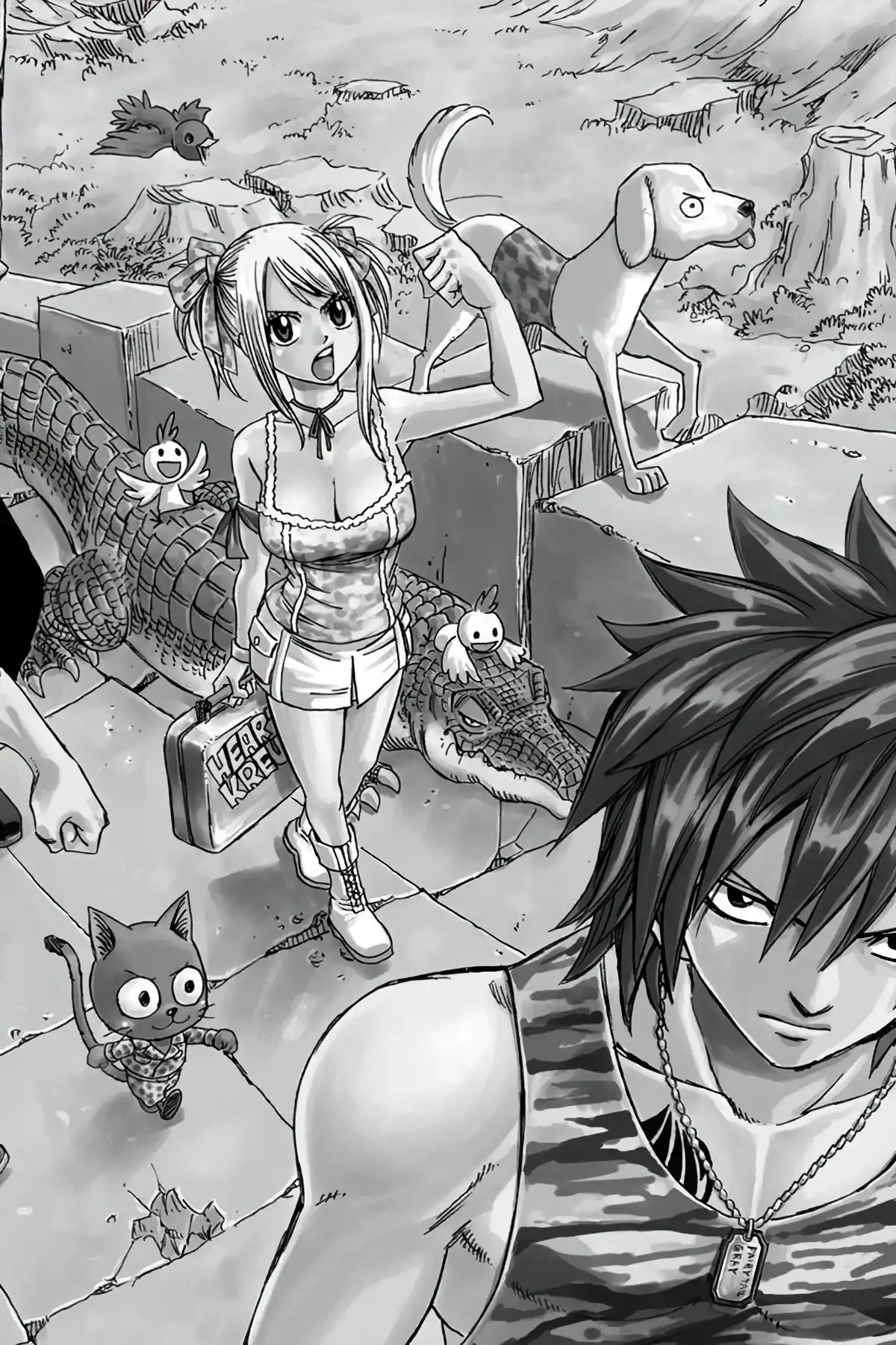 Fairy Tail Volume 14 page 46