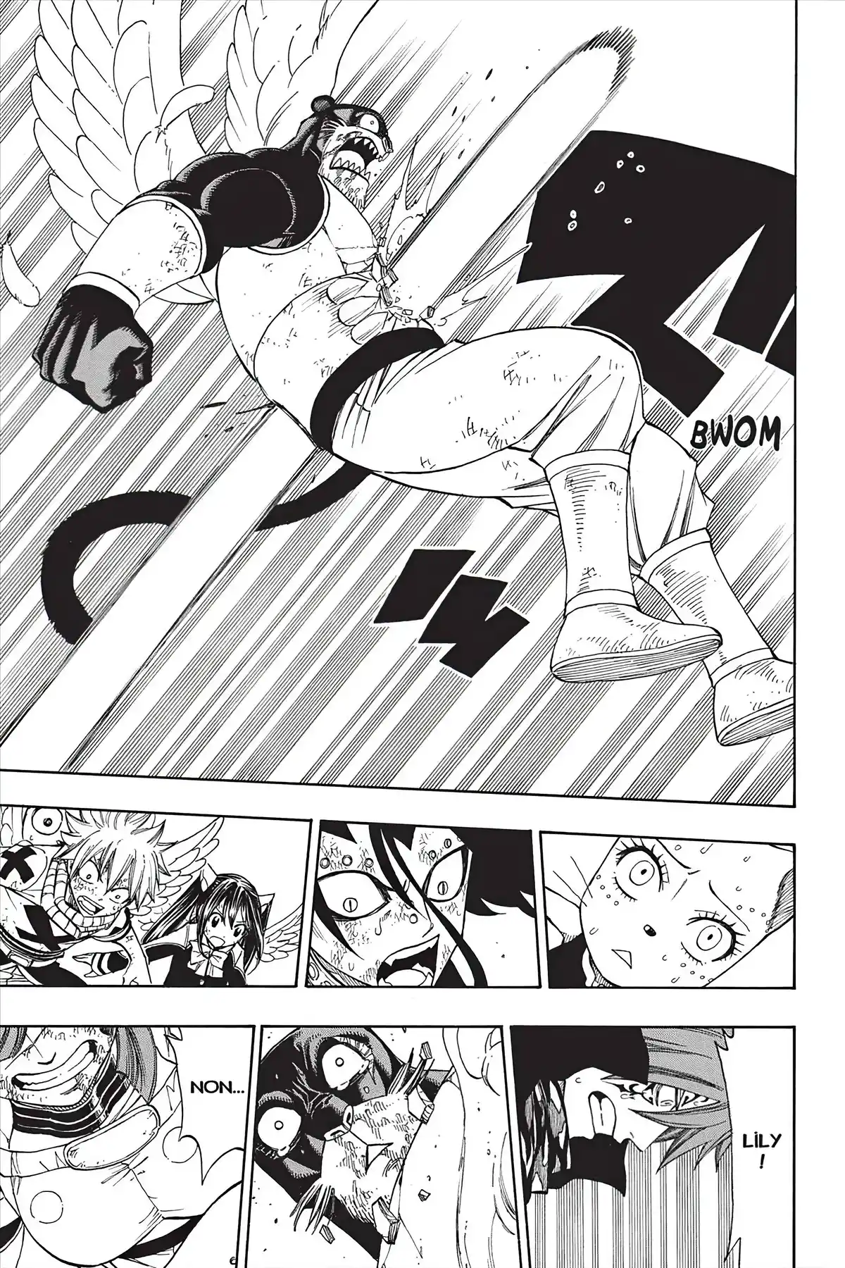 Fairy Tail Volume 23 page 43