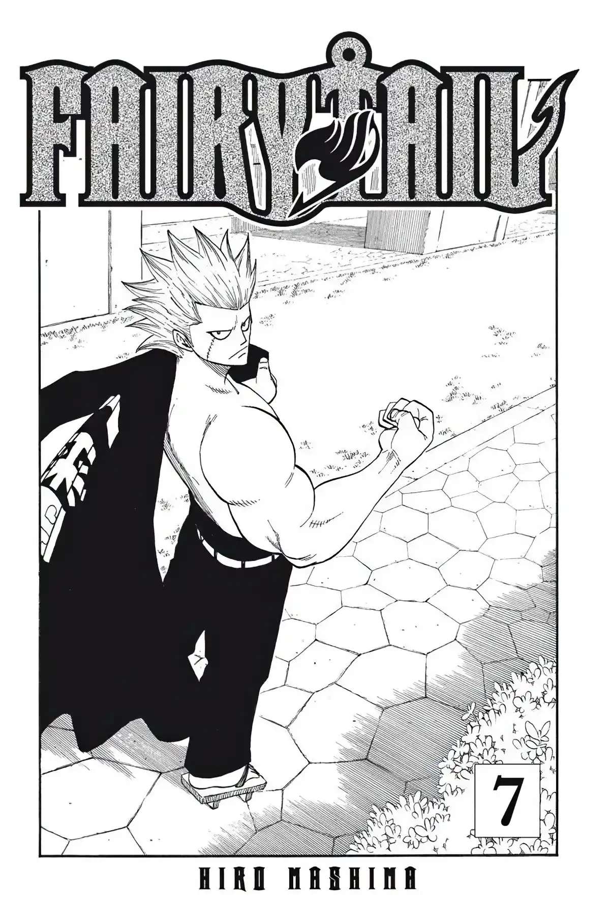 Fairy Tail Volume 7 page 3