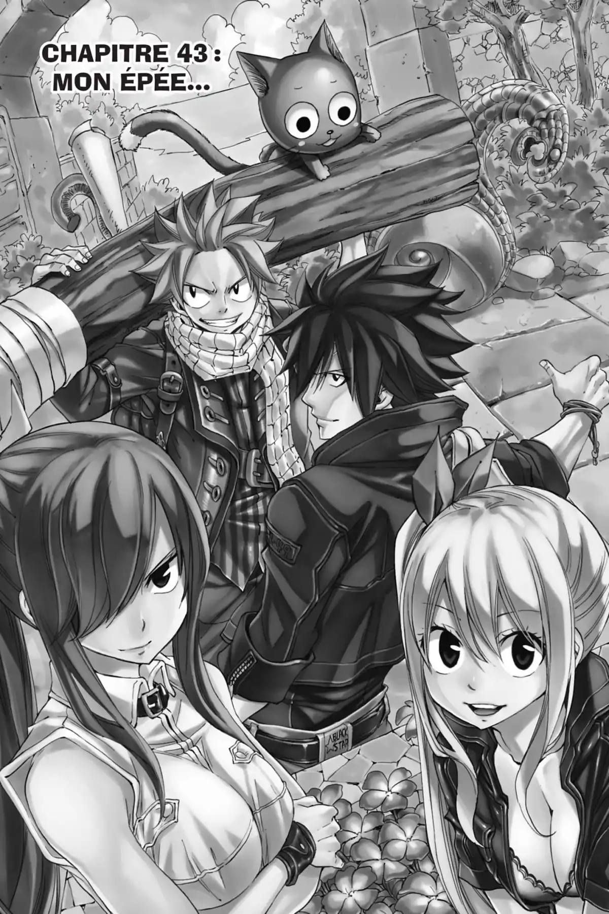 Fairy Tail Volume 51 page 29