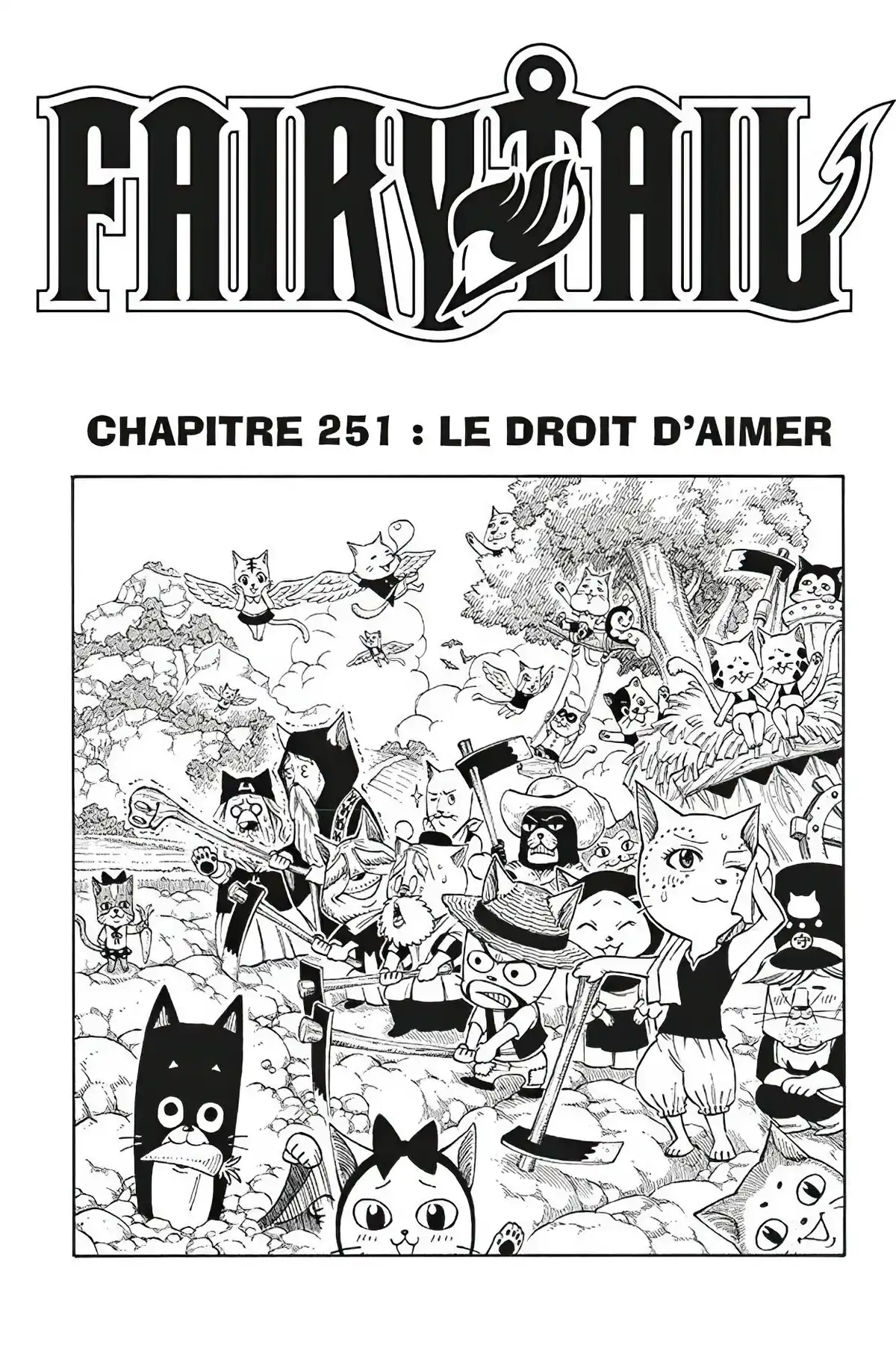 Fairy Tail Volume 30 page 45