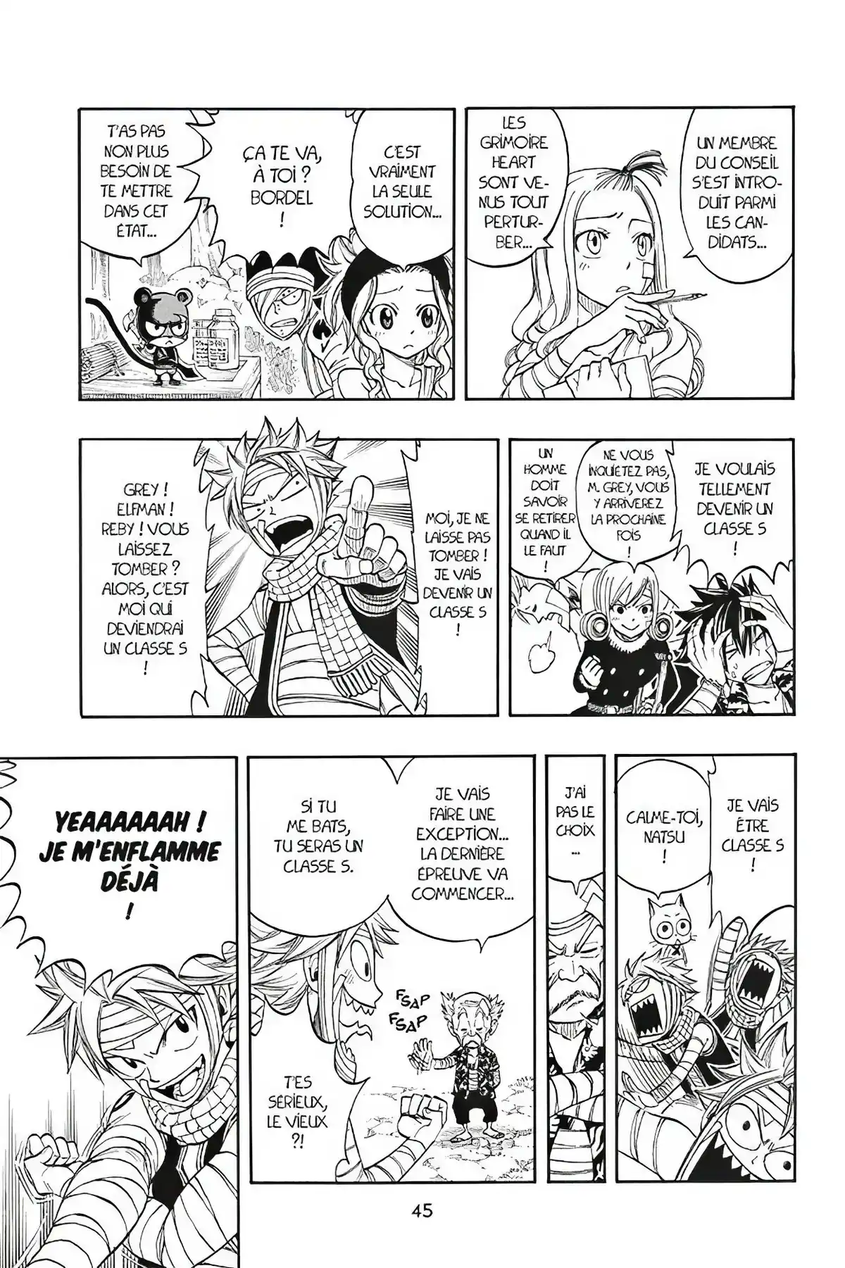 Fairy Tail Volume 30 page 47