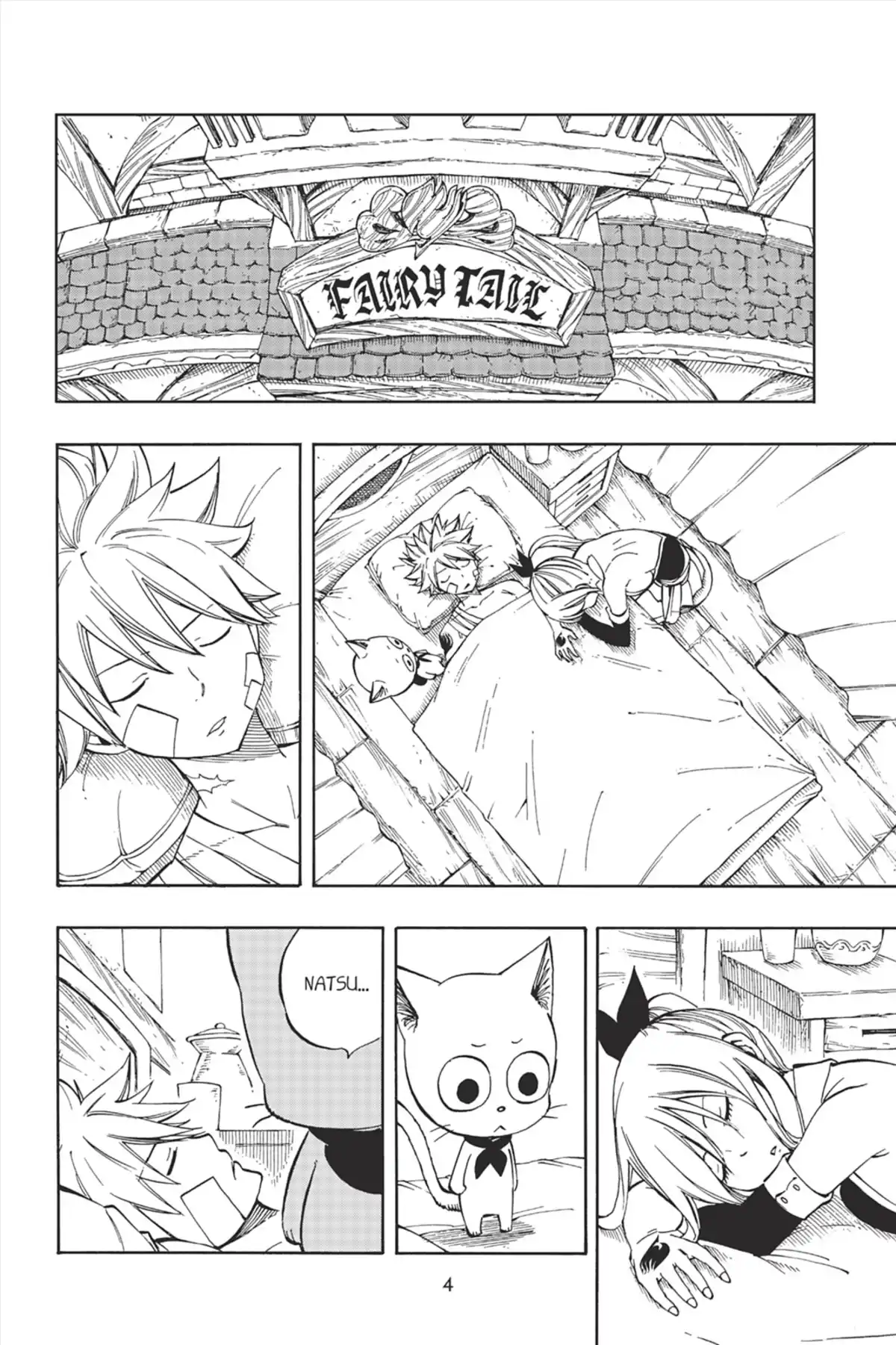 Fairy Tail Volume 56 page 6