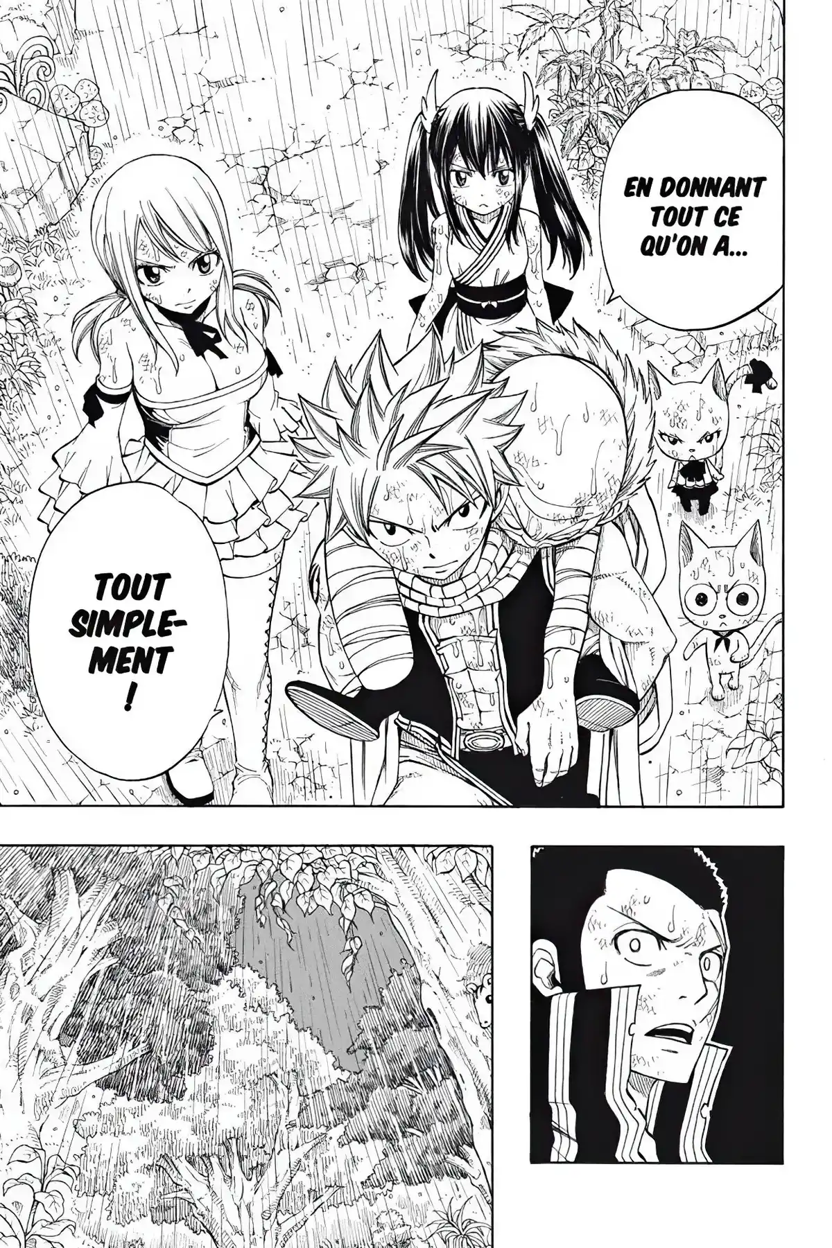 Fairy Tail Volume 28 page 11