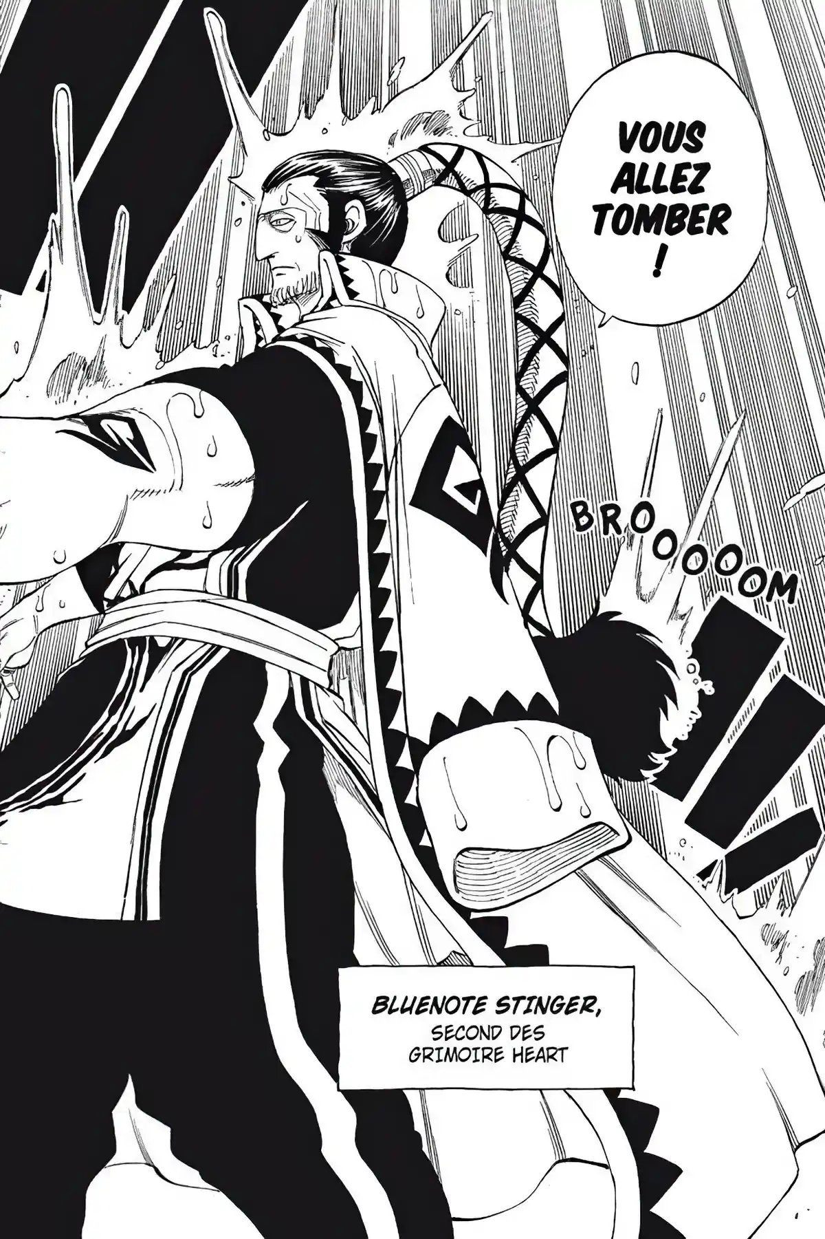 Fairy Tail Volume 28 page 22