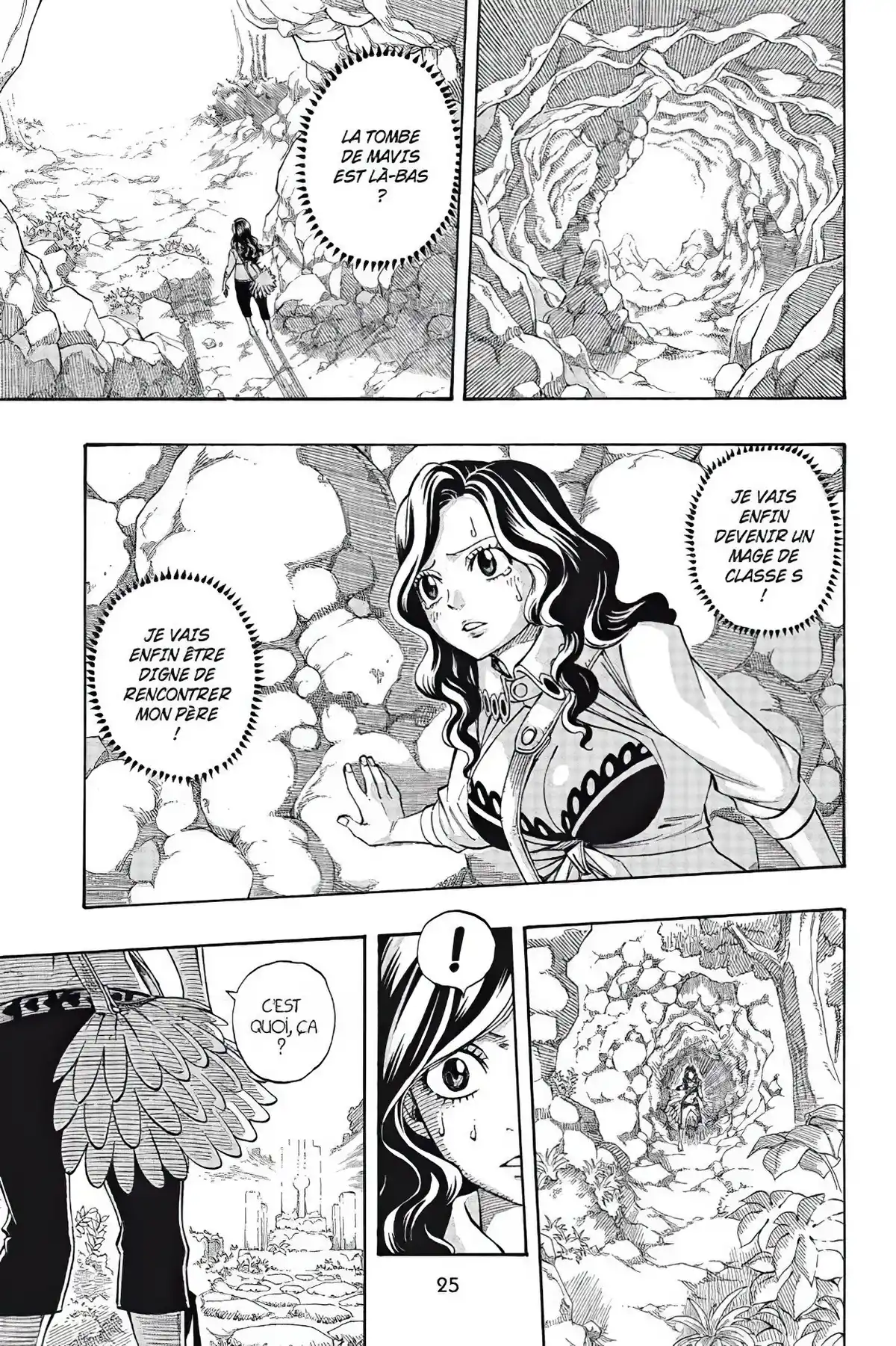 Fairy Tail Volume 28 page 27