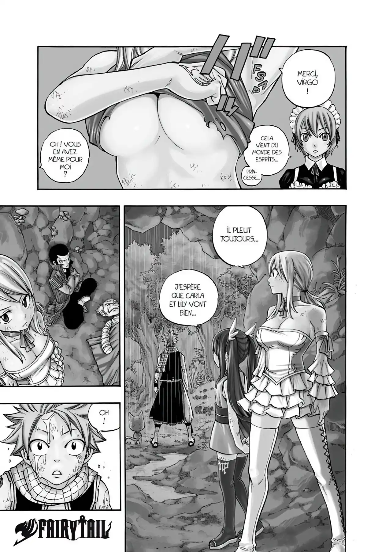 Fairy Tail Volume 28 page 5