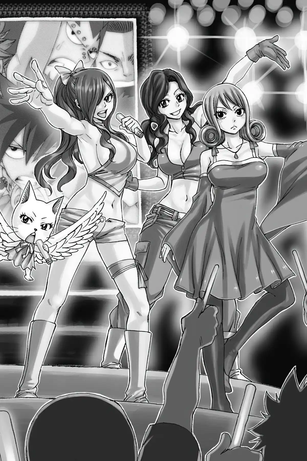 Fairy Tail Volume 28 page 6