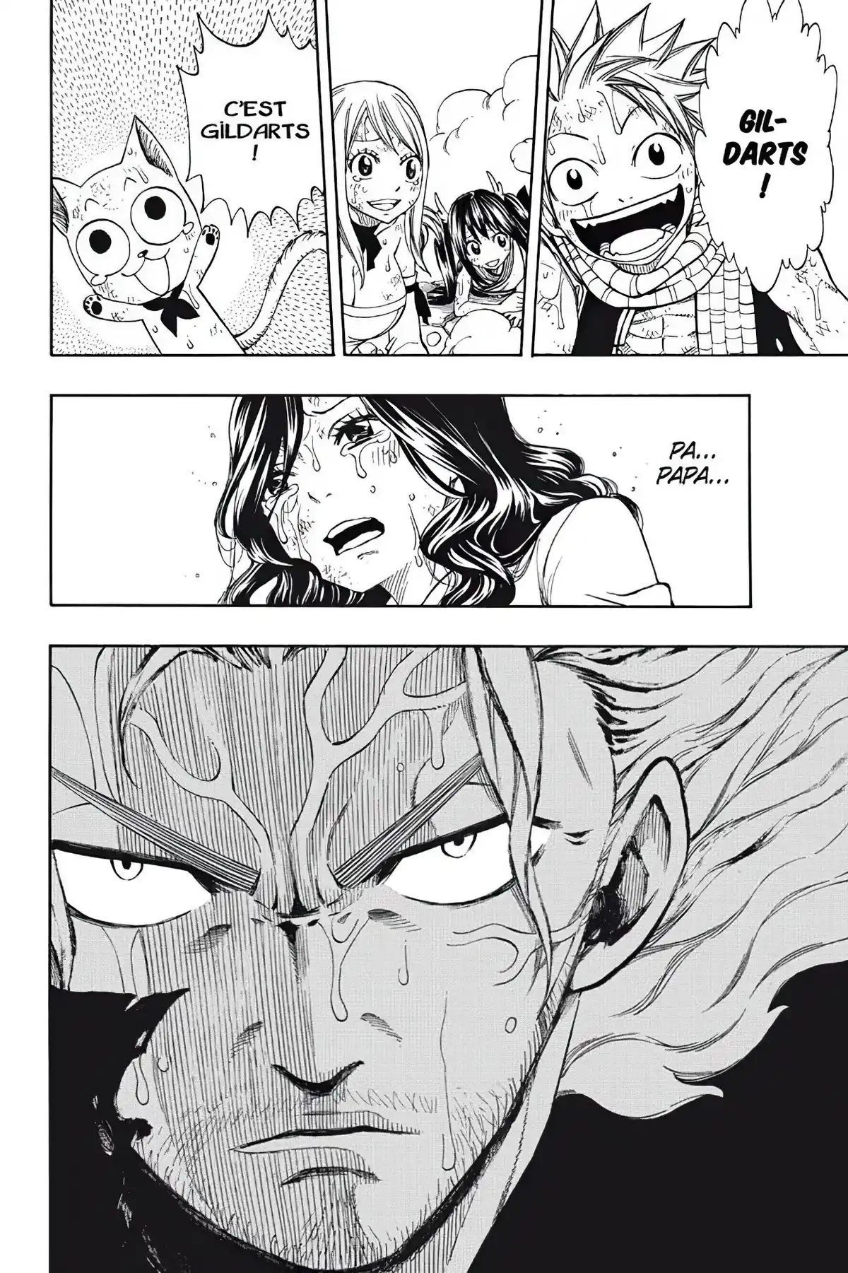 Fairy Tail Volume 28 page 68