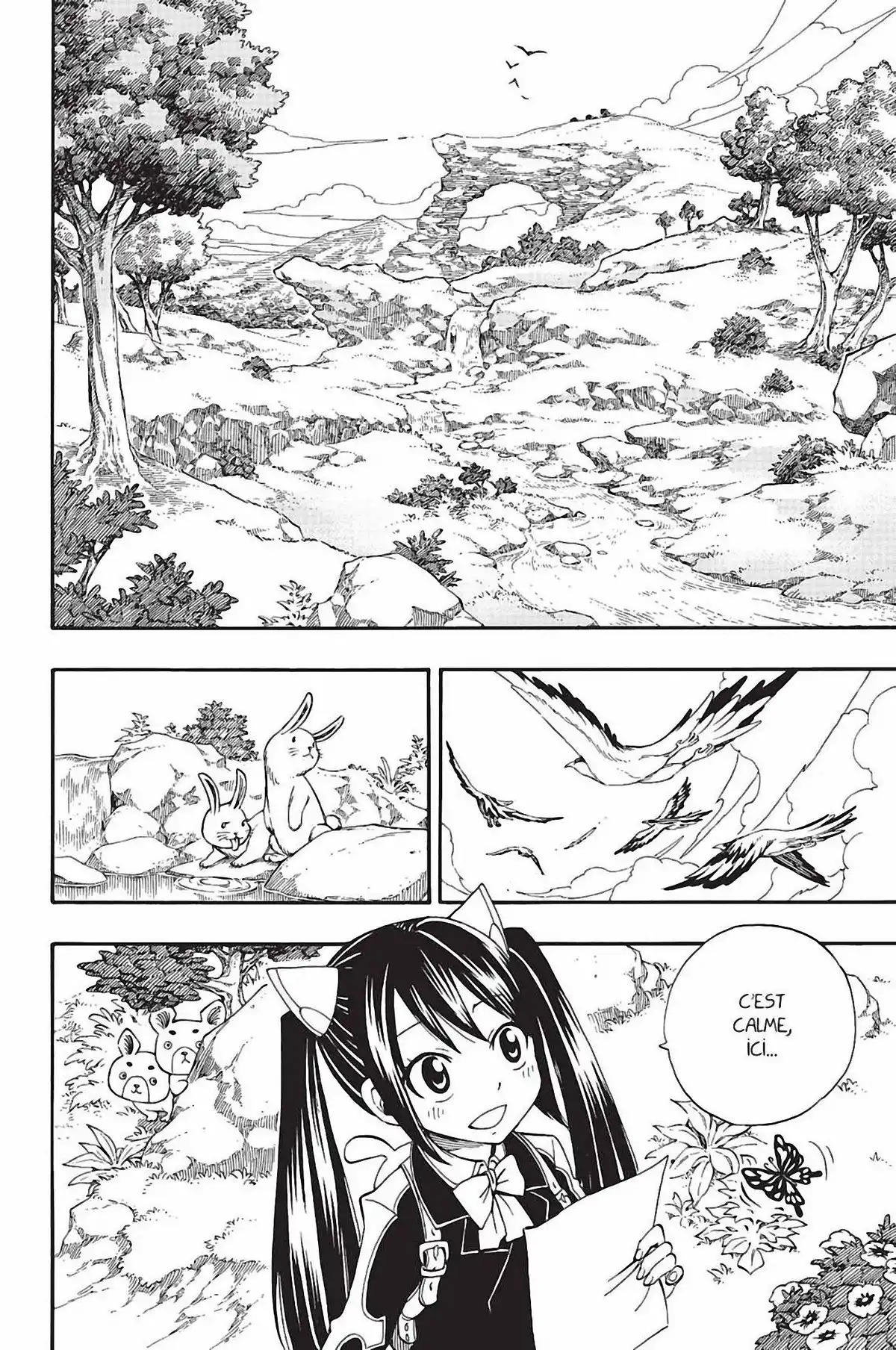 Fairy Tail Volume 40 page 138