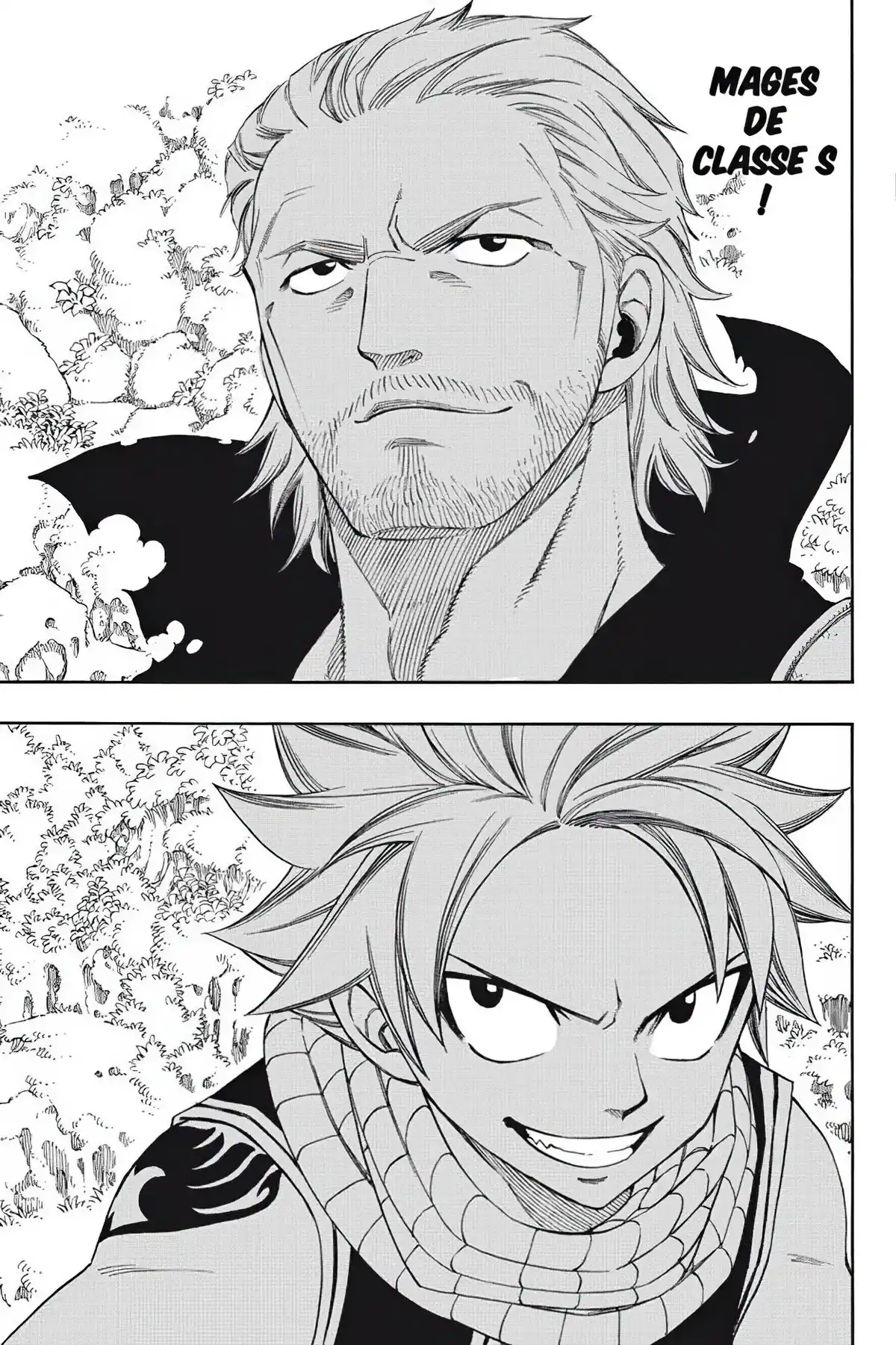 Fairy Tail Volume 25 page 11