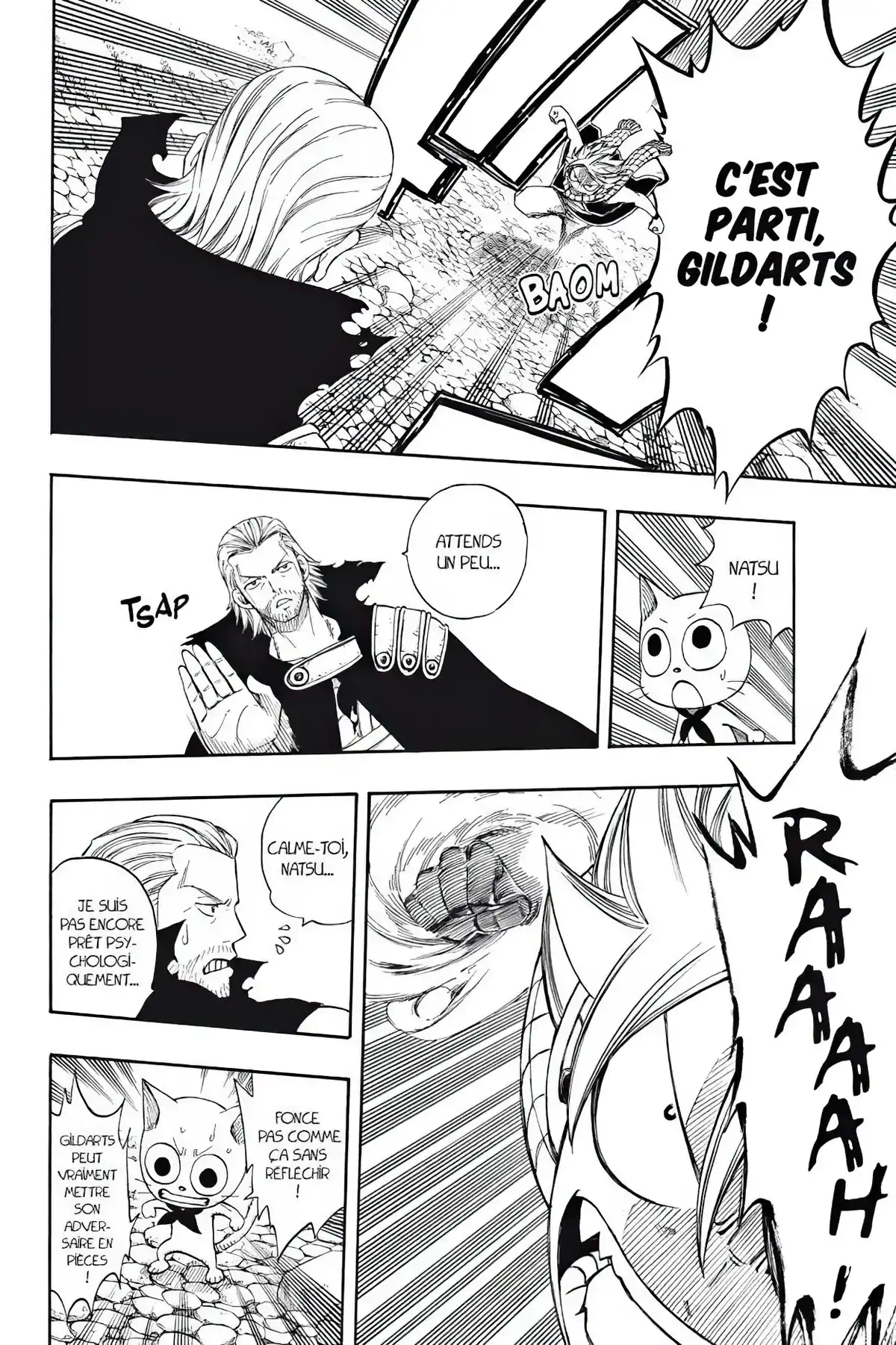 Fairy Tail Volume 25 page 12