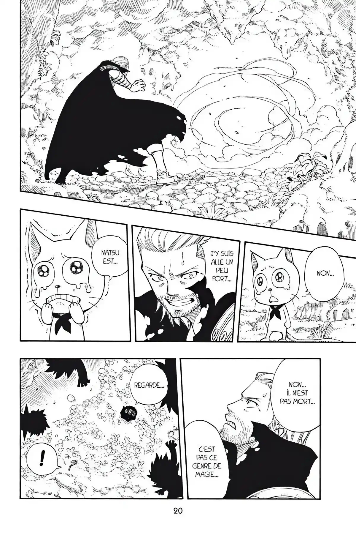 Fairy Tail Volume 25 page 22