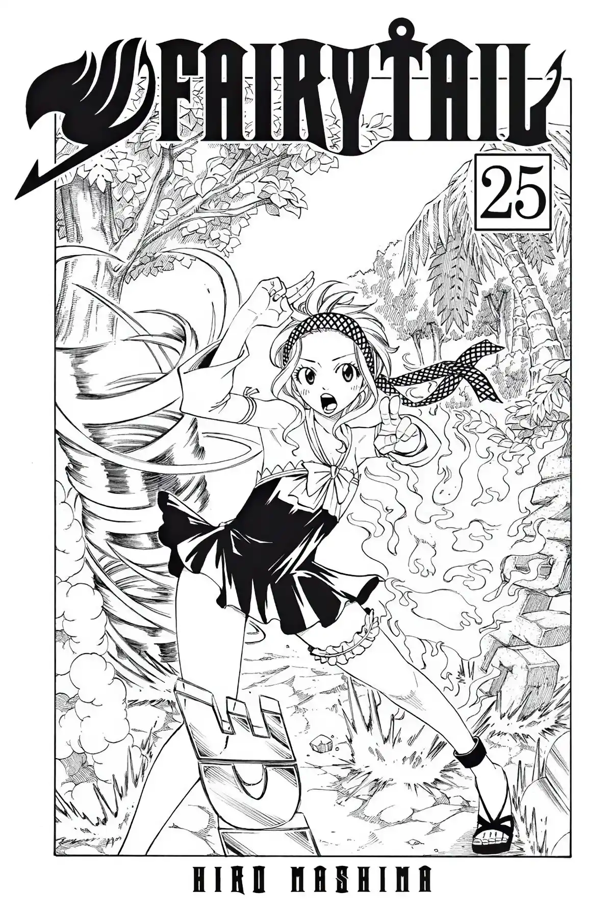 Fairy Tail Volume 25 page 3