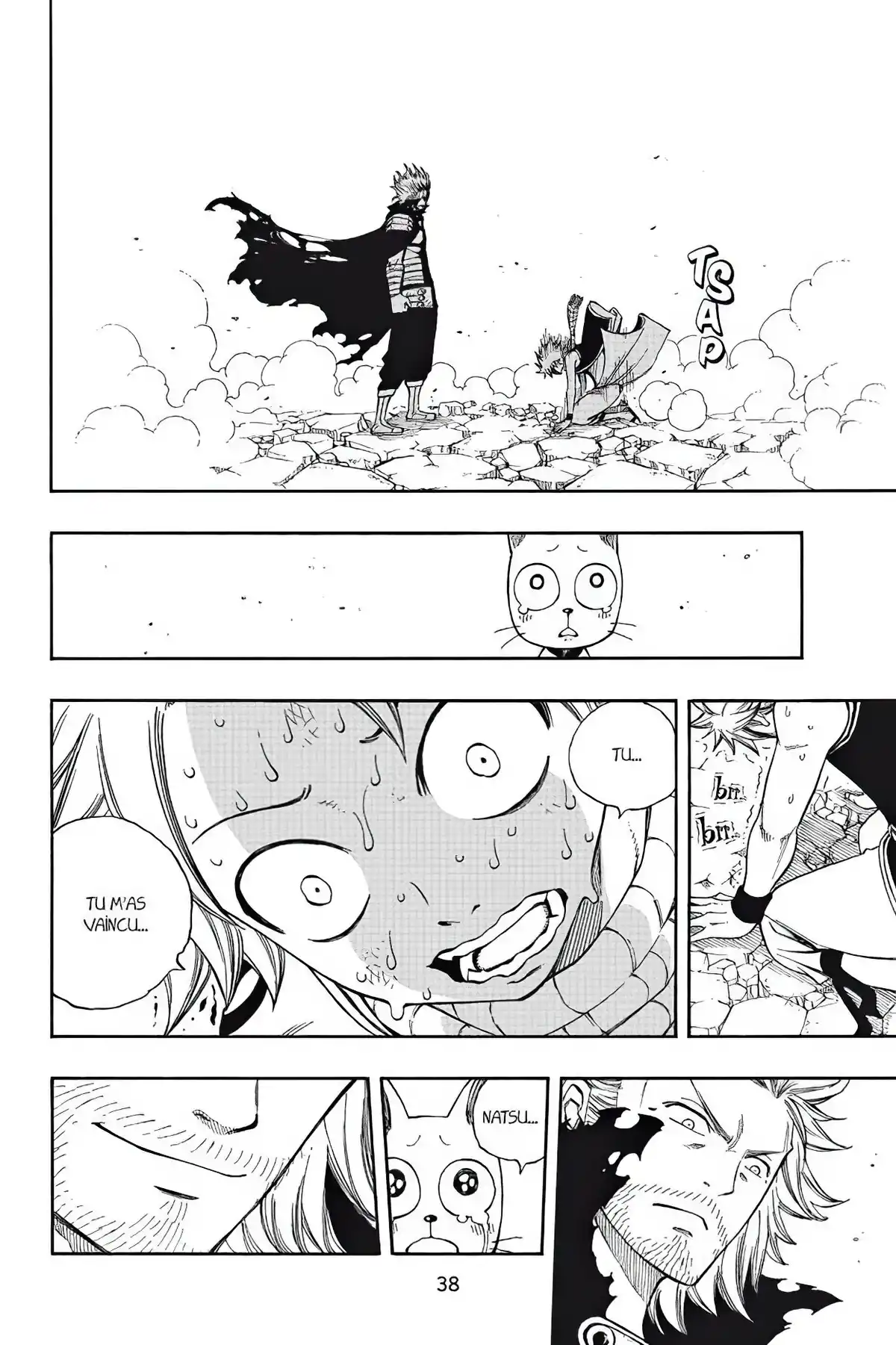 Fairy Tail Volume 25 page 40