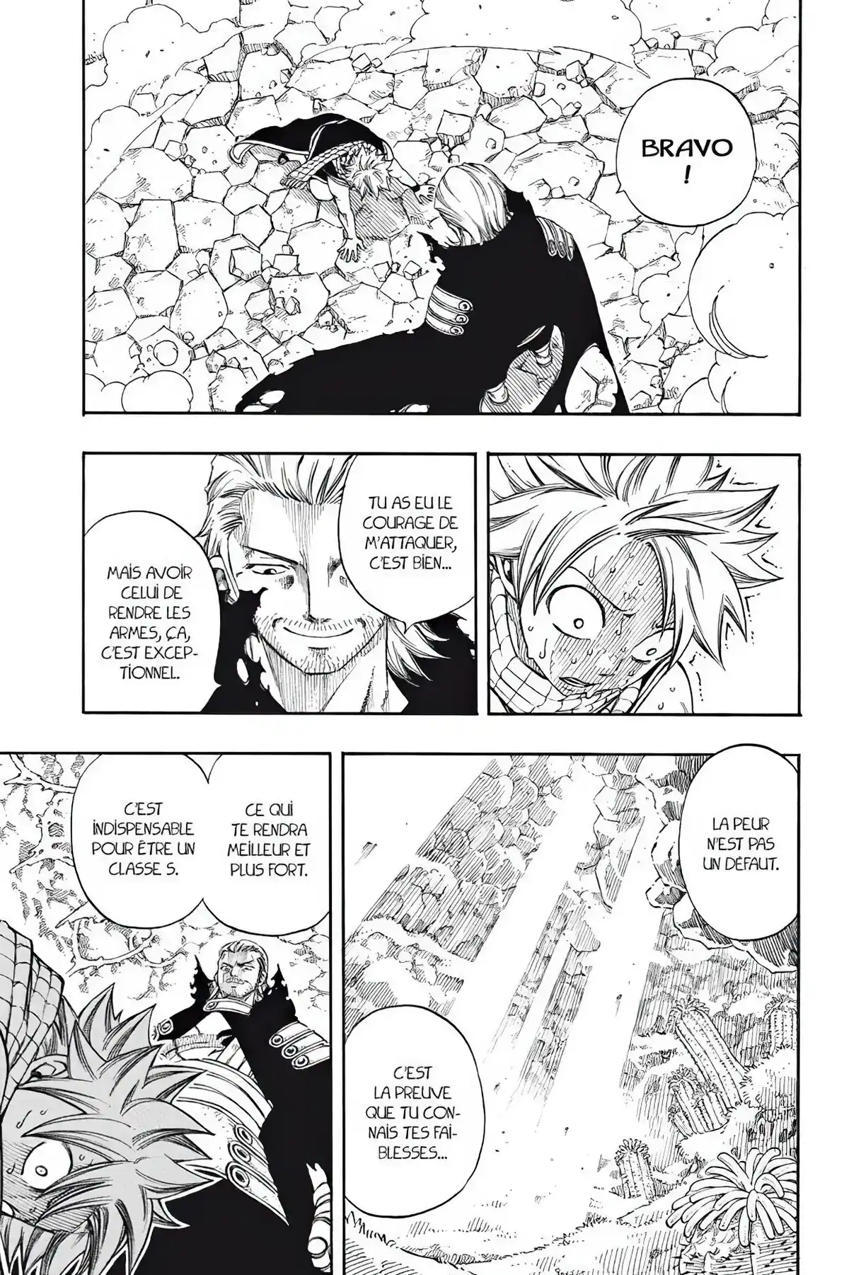 Fairy Tail Volume 25 page 41