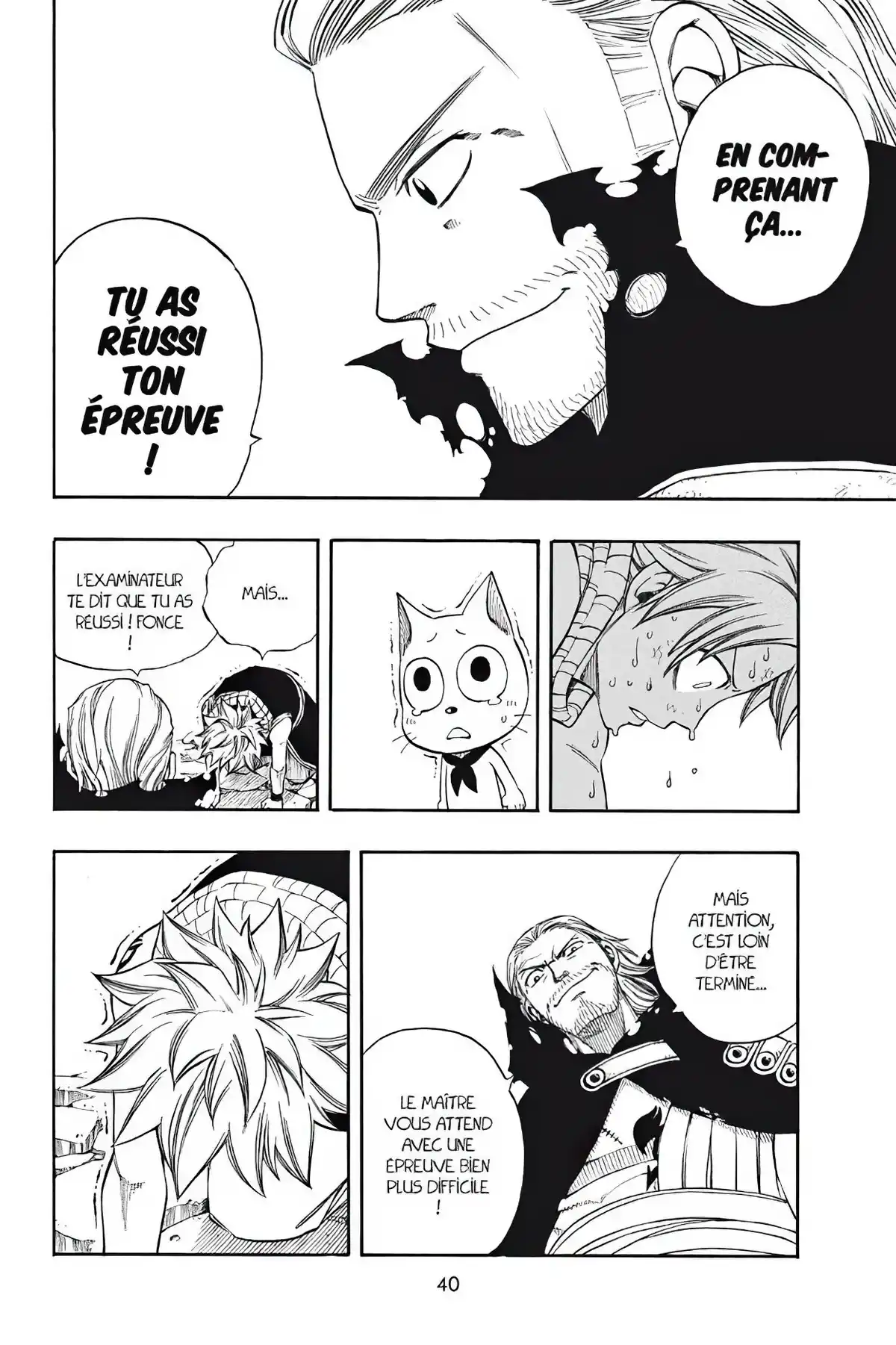 Fairy Tail Volume 25 page 42