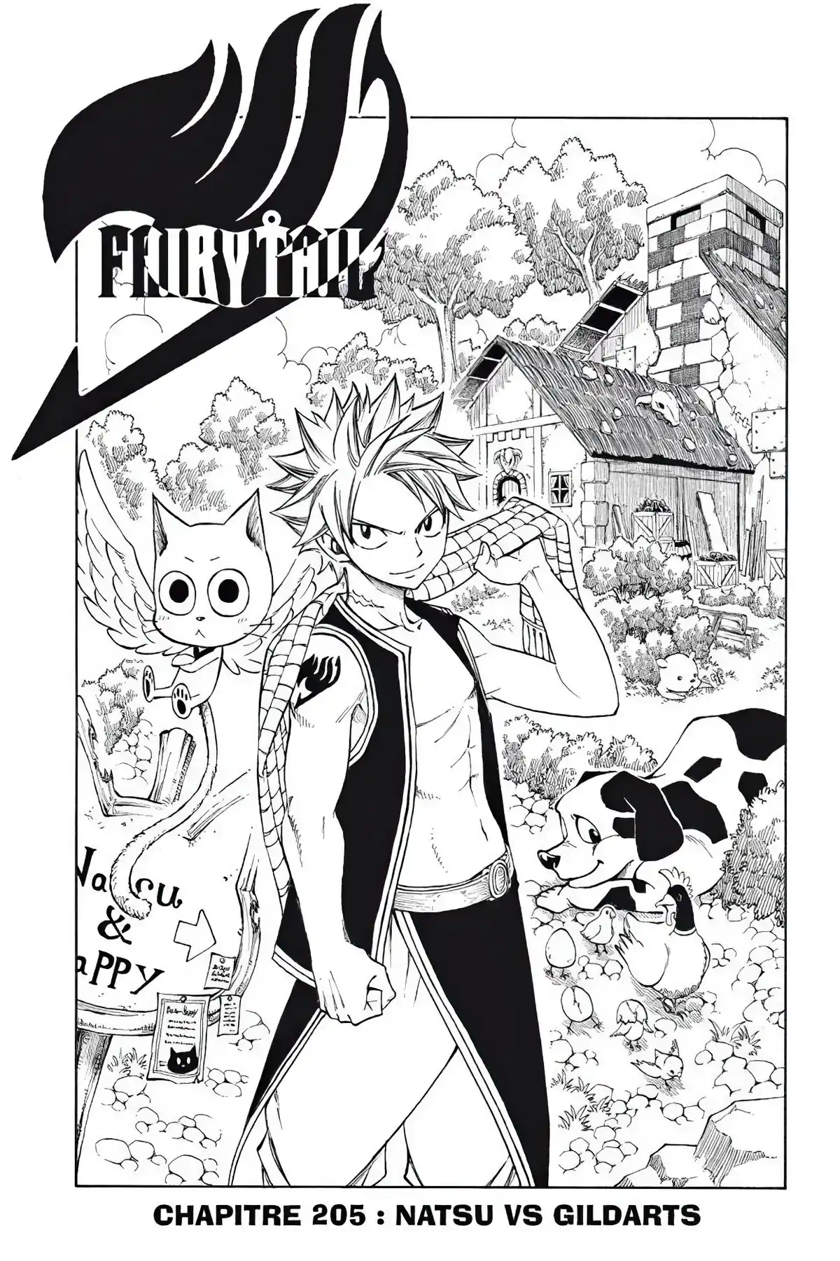 Fairy Tail Volume 25 page 5