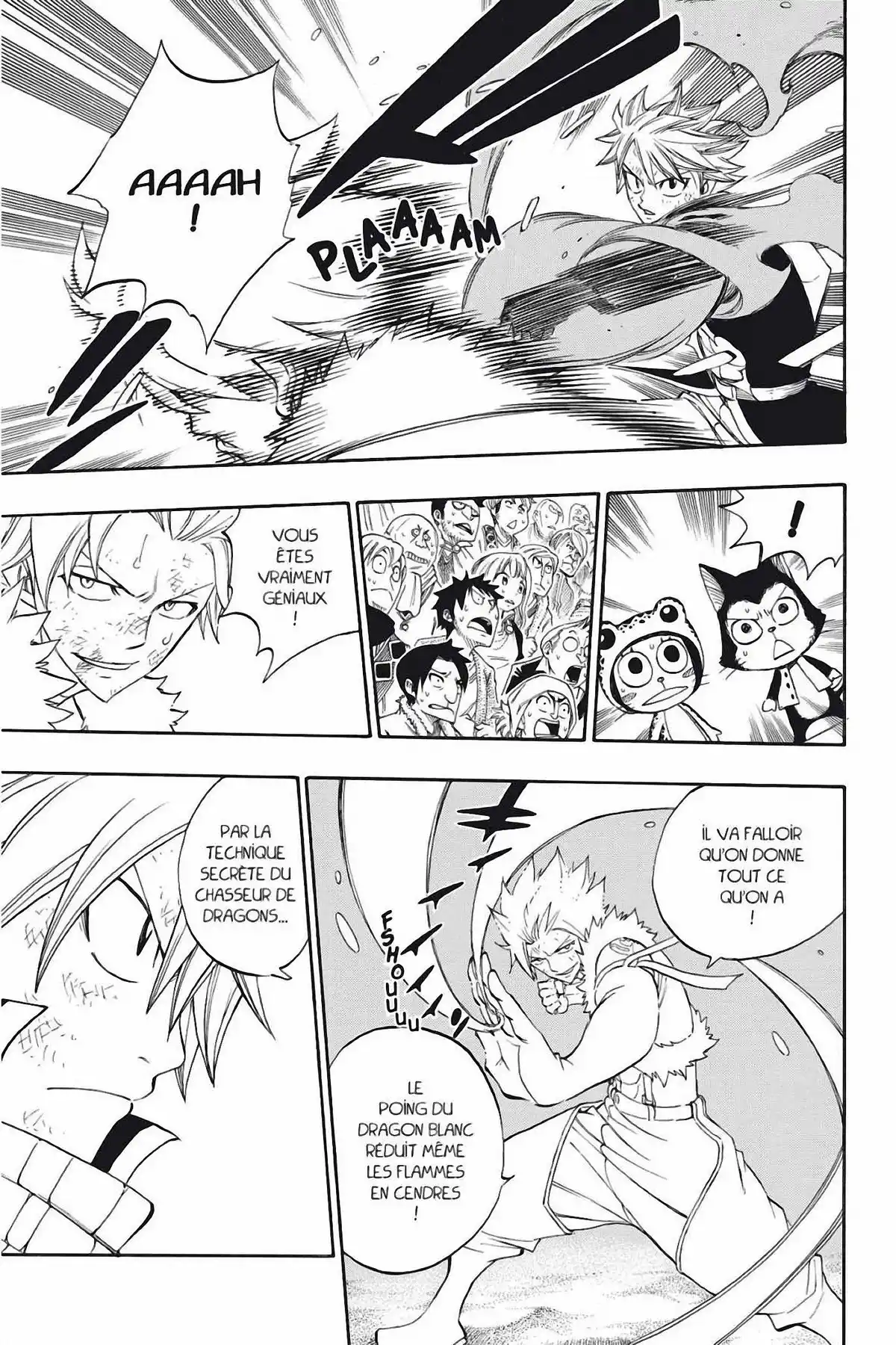 Fairy Tail Volume 35 page 73