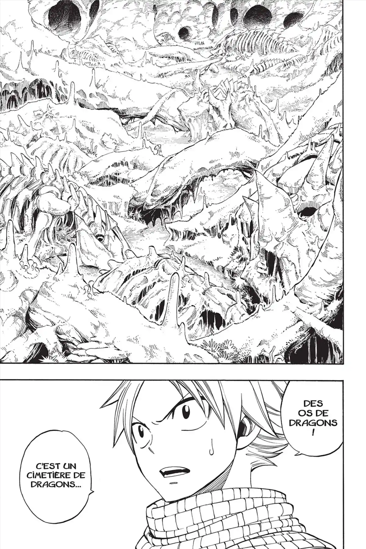 Fairy Tail Volume 36 page 23