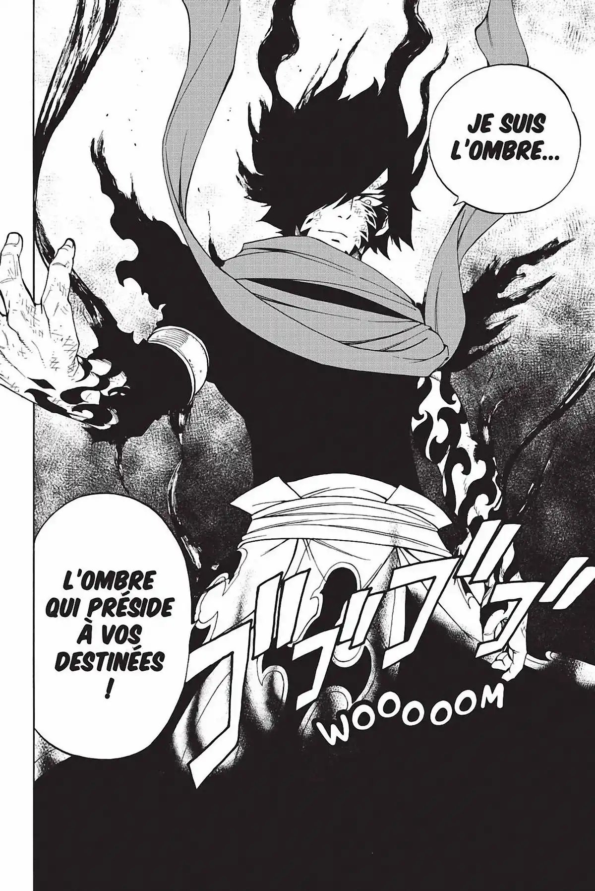 Fairy Tail Volume 38 page 14