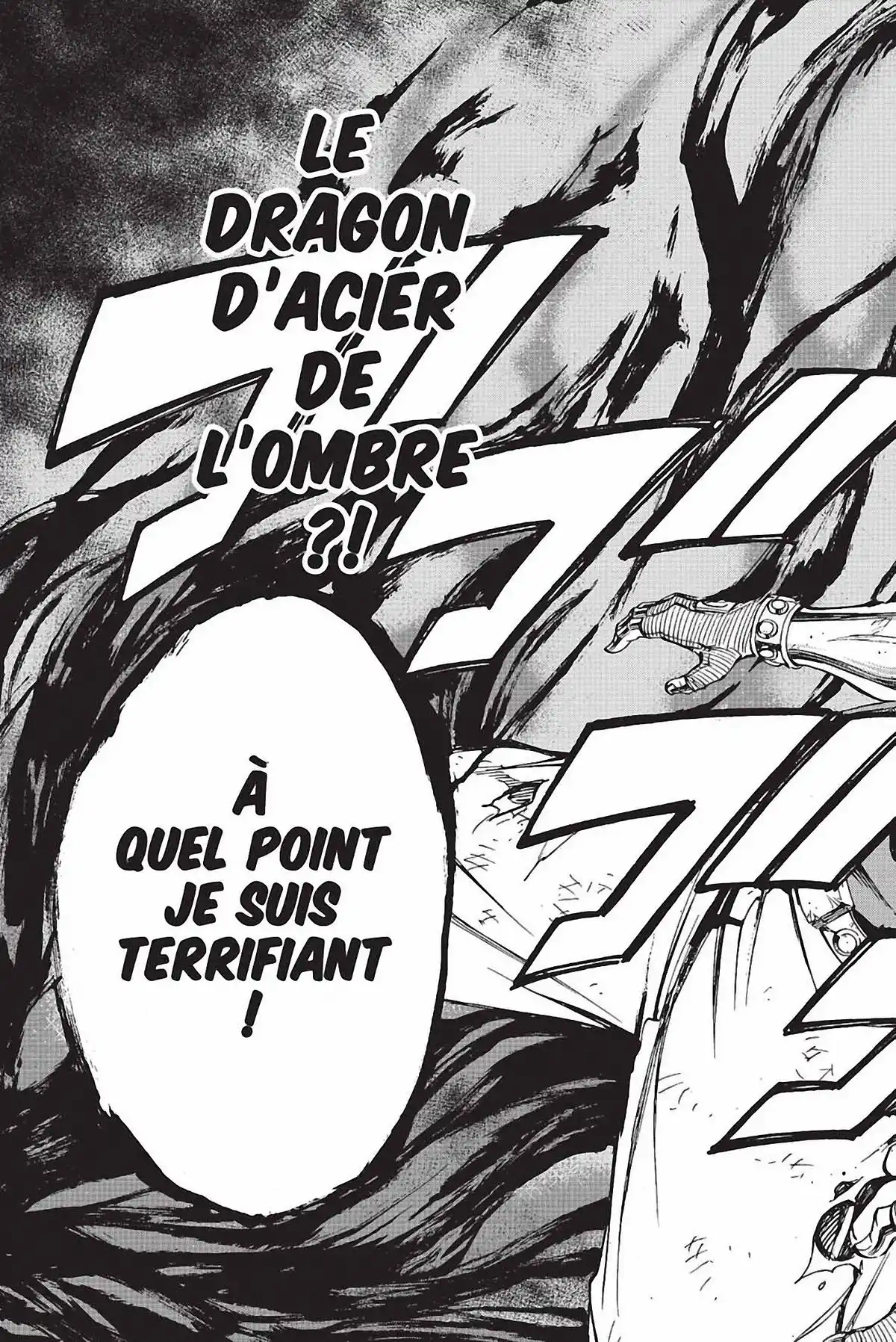 Fairy Tail Volume 38 page 29