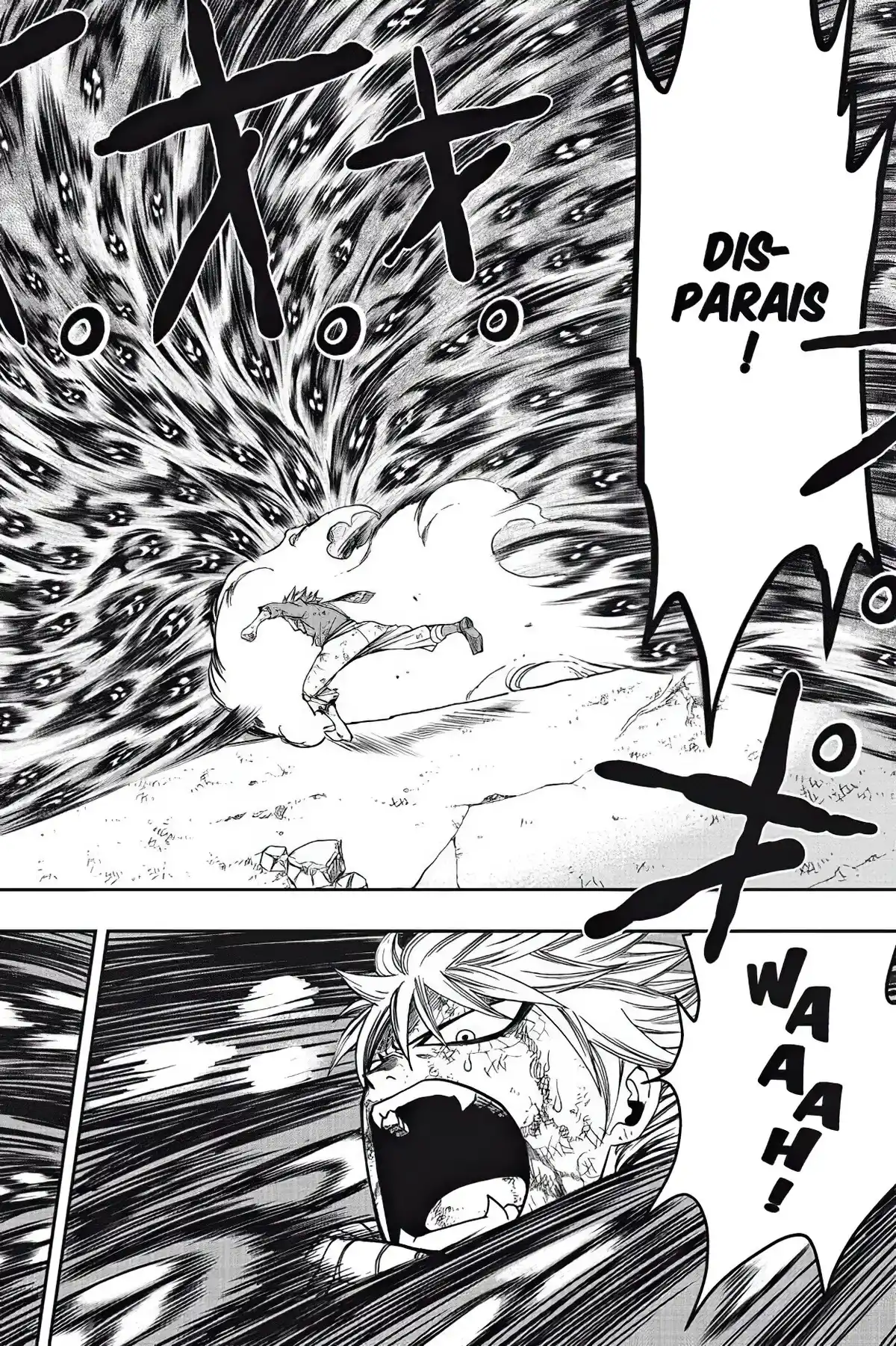 Fairy Tail Volume 20 page 10