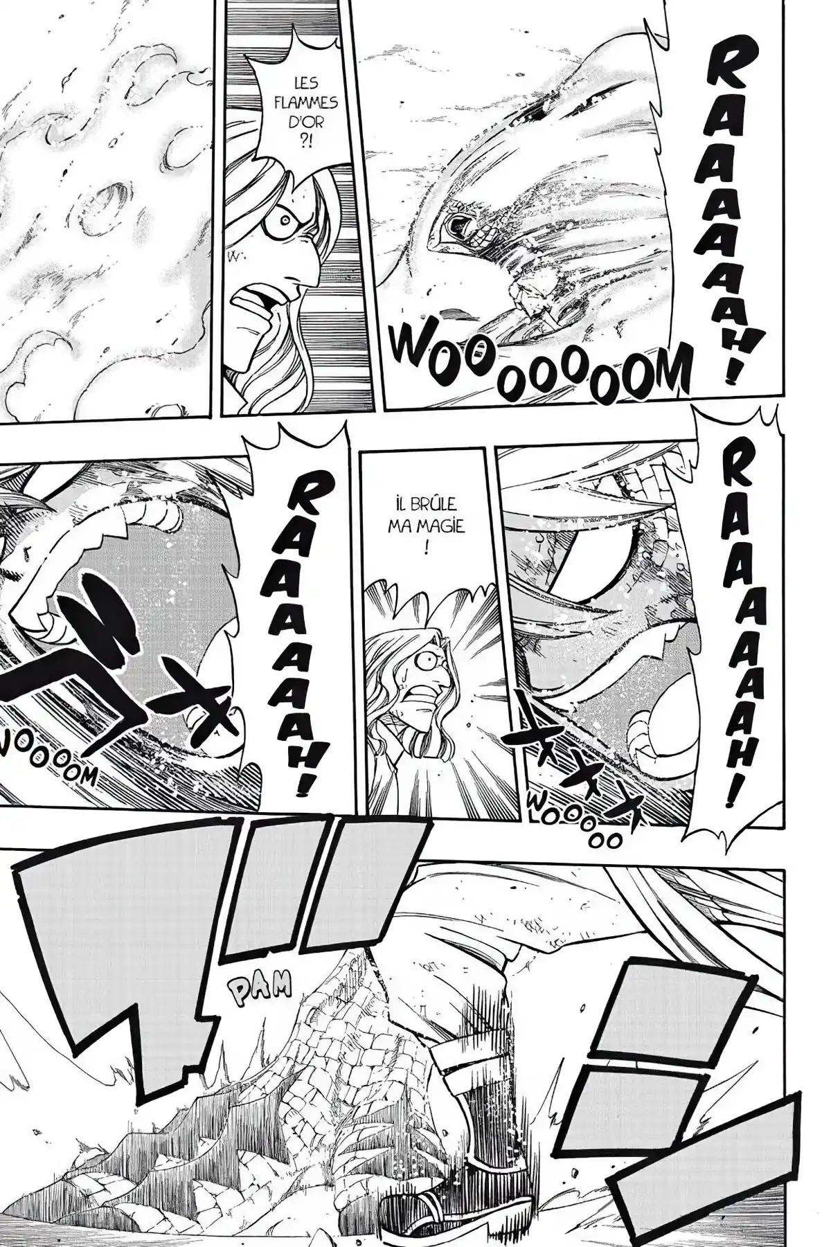 Fairy Tail Volume 20 page 13