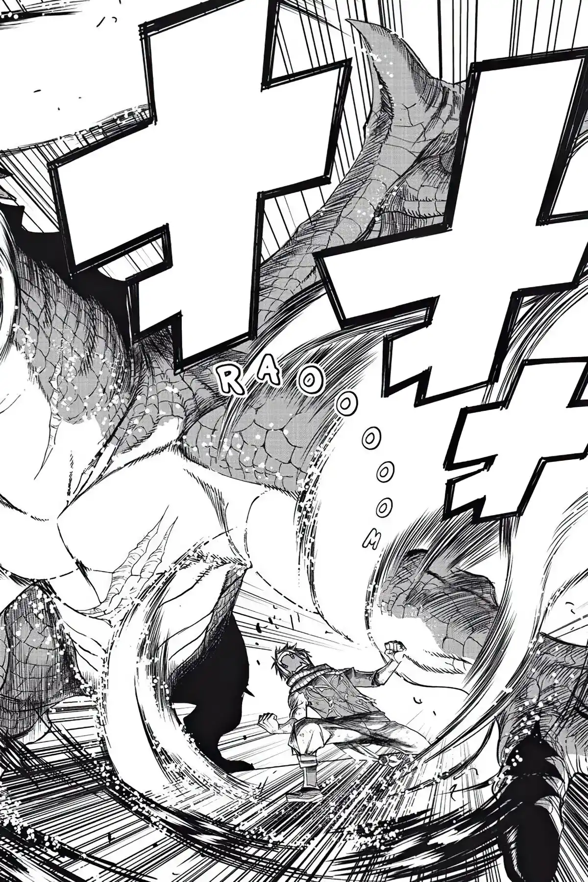 Fairy Tail Volume 20 page 14