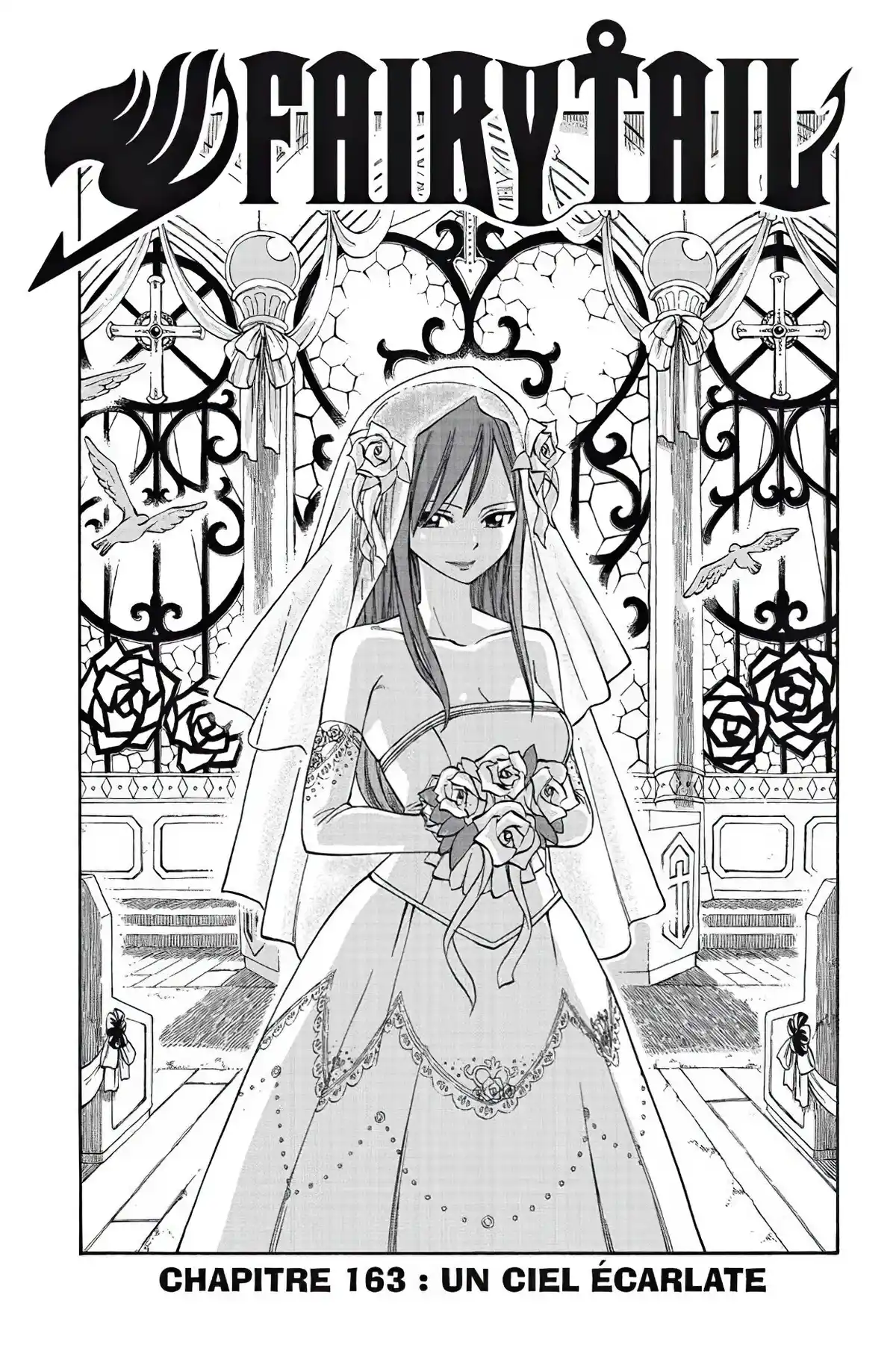 Fairy Tail Volume 20 page 45