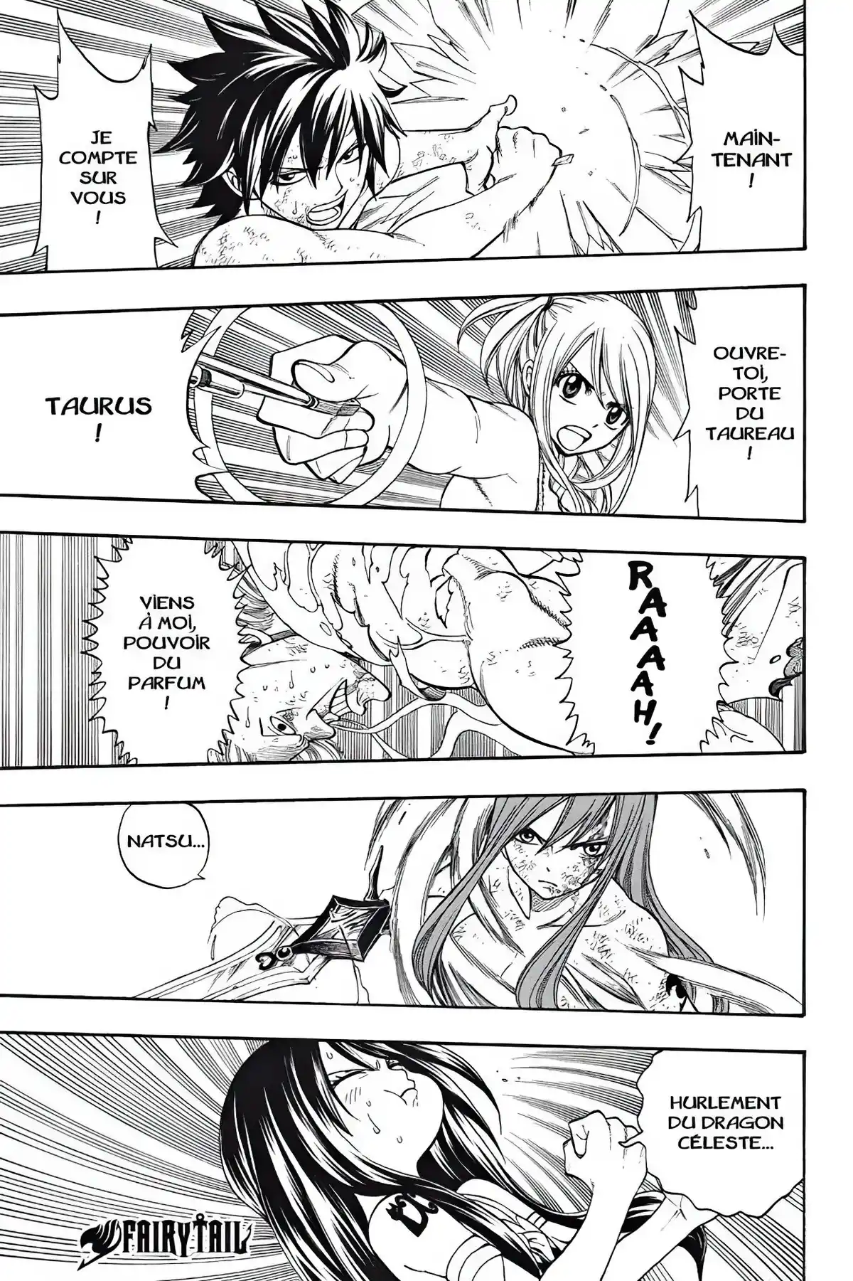 Fairy Tail Volume 20 page 5