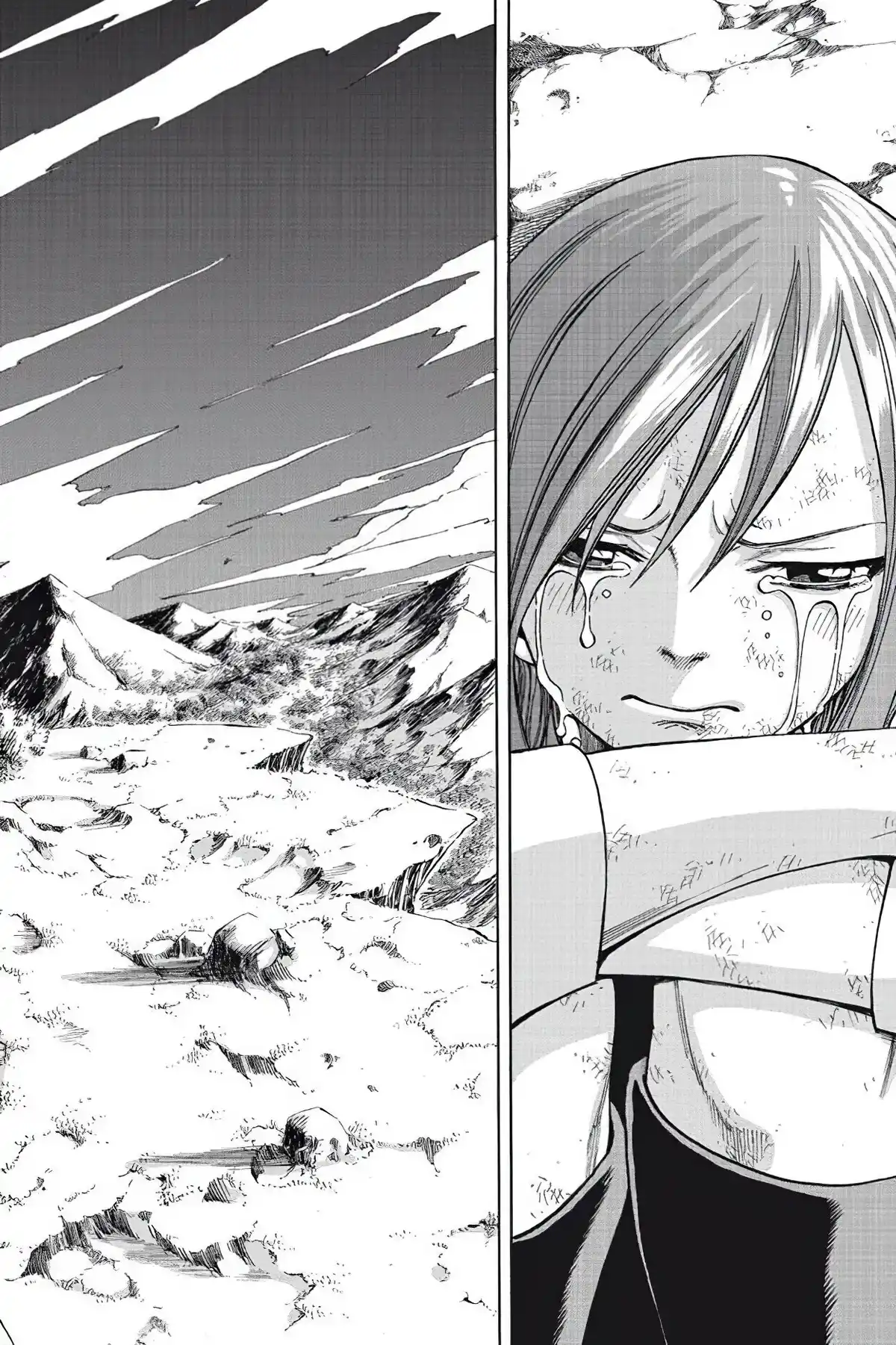 Fairy Tail Volume 20 page 62