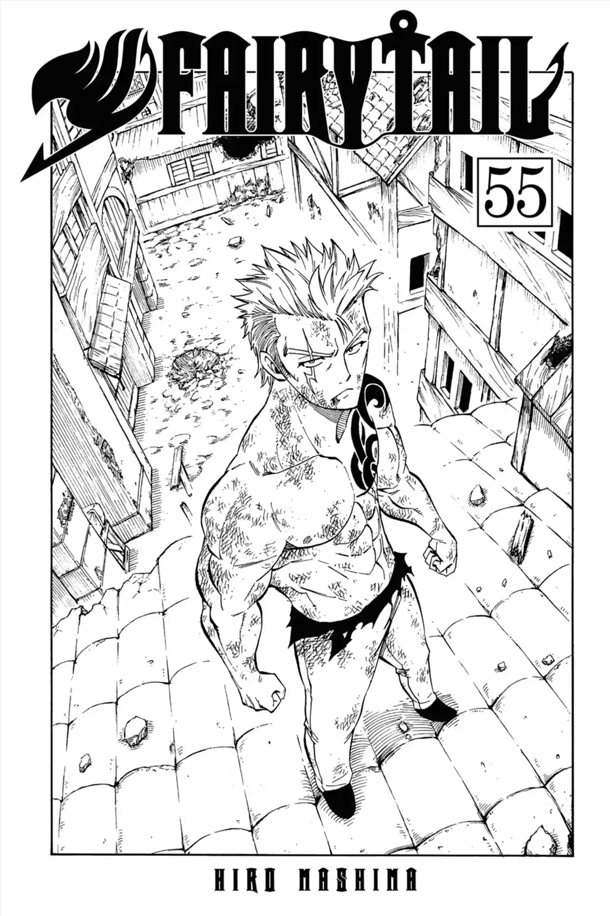 Fairy Tail Volume 55 page 3