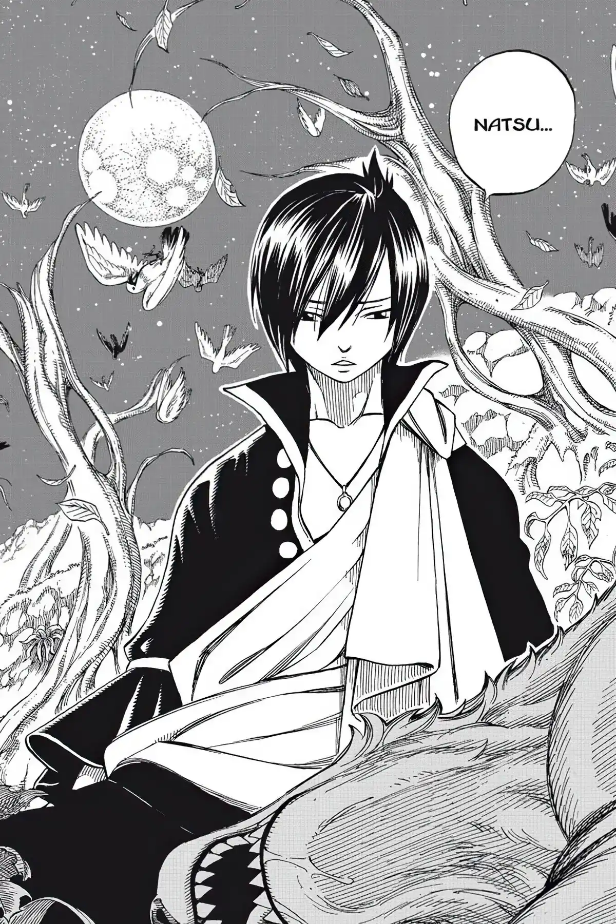 Fairy Tail Volume 24 page 86