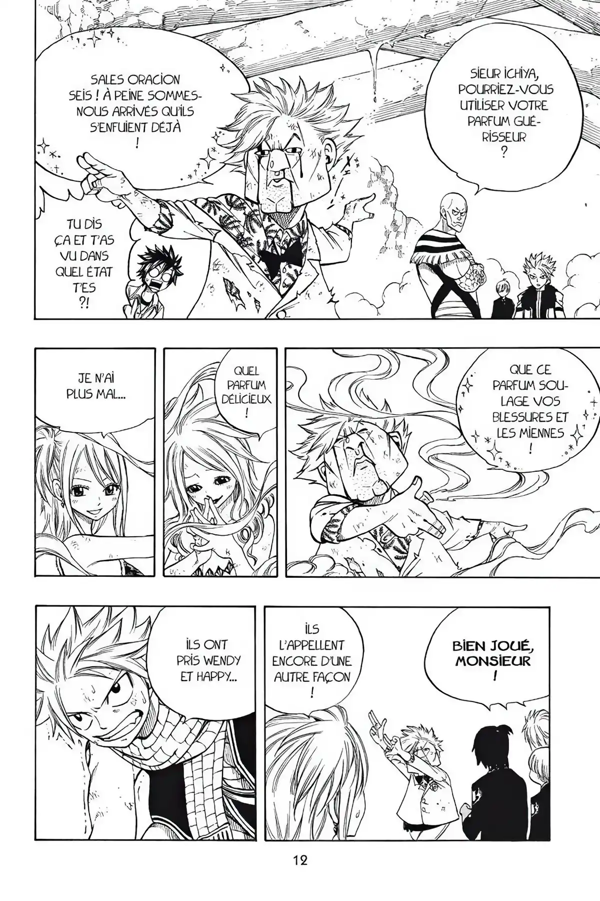 Fairy Tail Volume 17 page 14