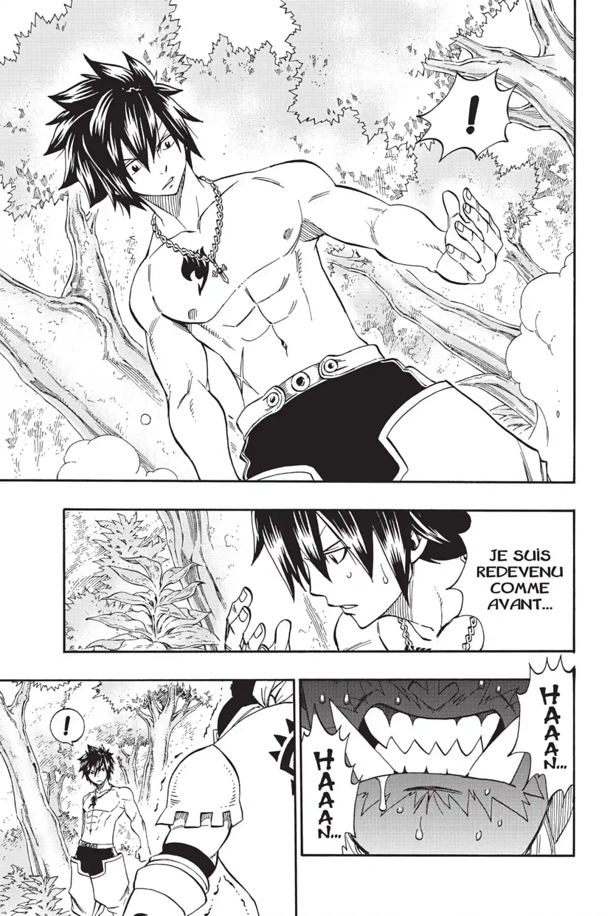 Fairy Tail Volume 41 page 101