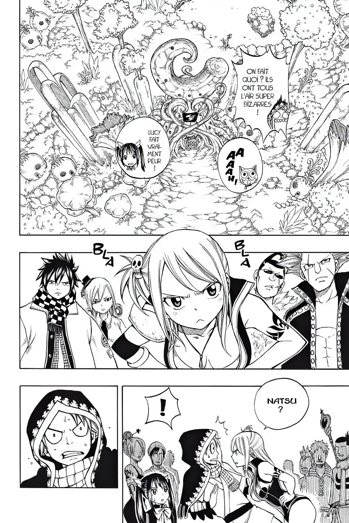 Fairy Tail Volume 21 page 6