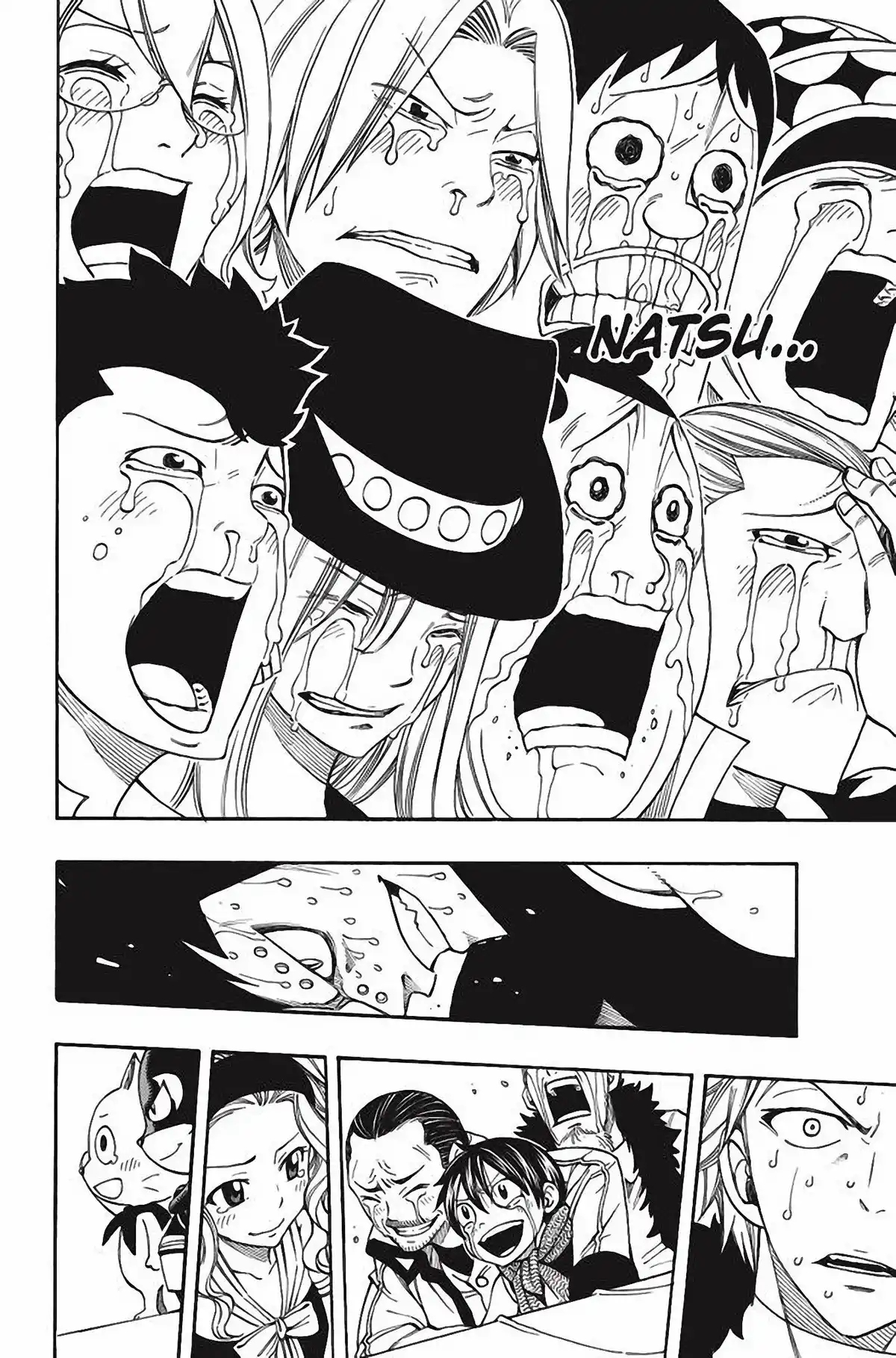 Fairy Tail Volume 33 page 42