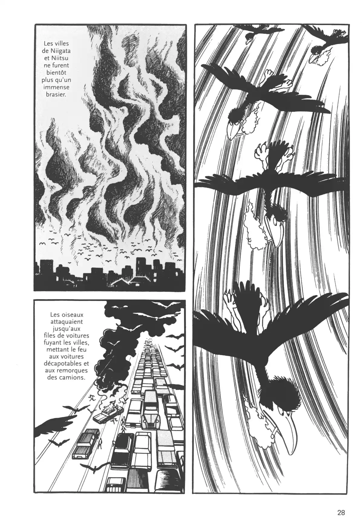 Demain les oiseaux – Édition Prestige Volume 1 page 29