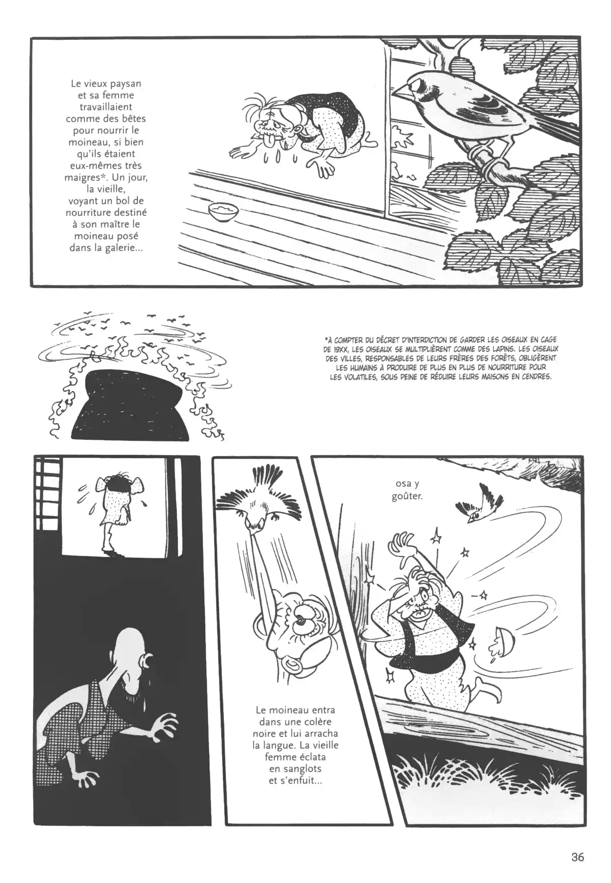 Demain les oiseaux – Édition Prestige Volume 1 page 37