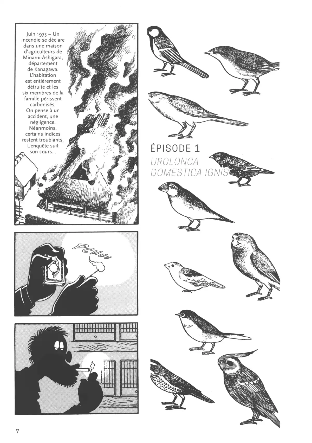 Demain les oiseaux – Édition Prestige Volume 1 page 8